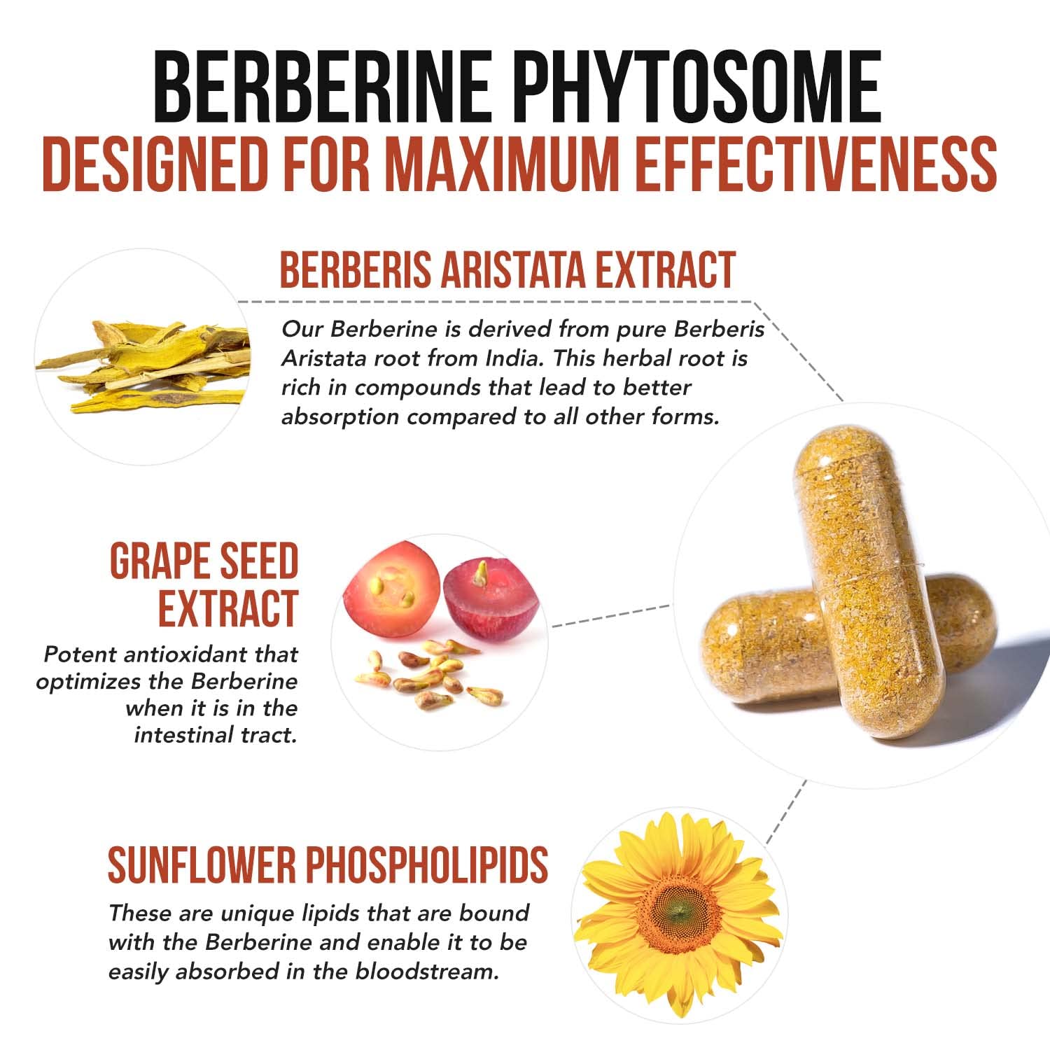 SoActive Berberine 550mg: 9.6X Higher Absorption, Clinically Proven Most Effective Triquetra Health uk supplements