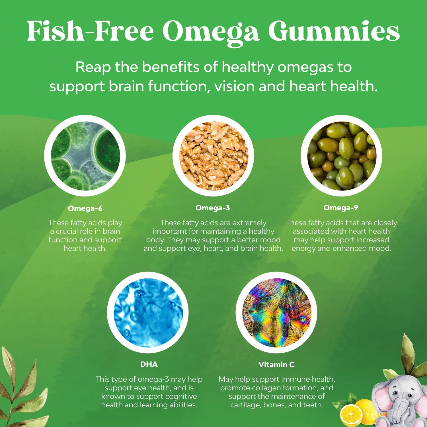 Bundle of Kids DHA Omega 3 Gummies - Fatty Acids Omega 3 6 9 for Brain Immune Strength Vision Focus Support and Liquid Multivitamin for Kids Immunity Support Natures Craft uk supplements