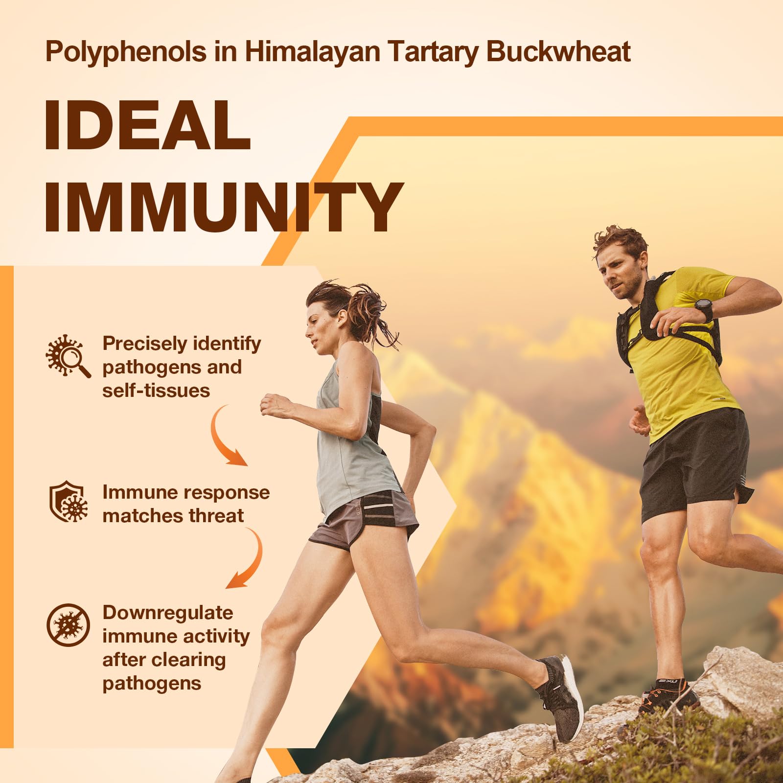 Nokuba Polyphenols Supplement for Immune Support | Himalayan Tartary Buckwheat Sourced | Polyphenol Superfood with Quercetin, Curcumin | Immune Booster, Antioxidant, Anti-inflammatory - 120 Capsules Nokuba uk supplements