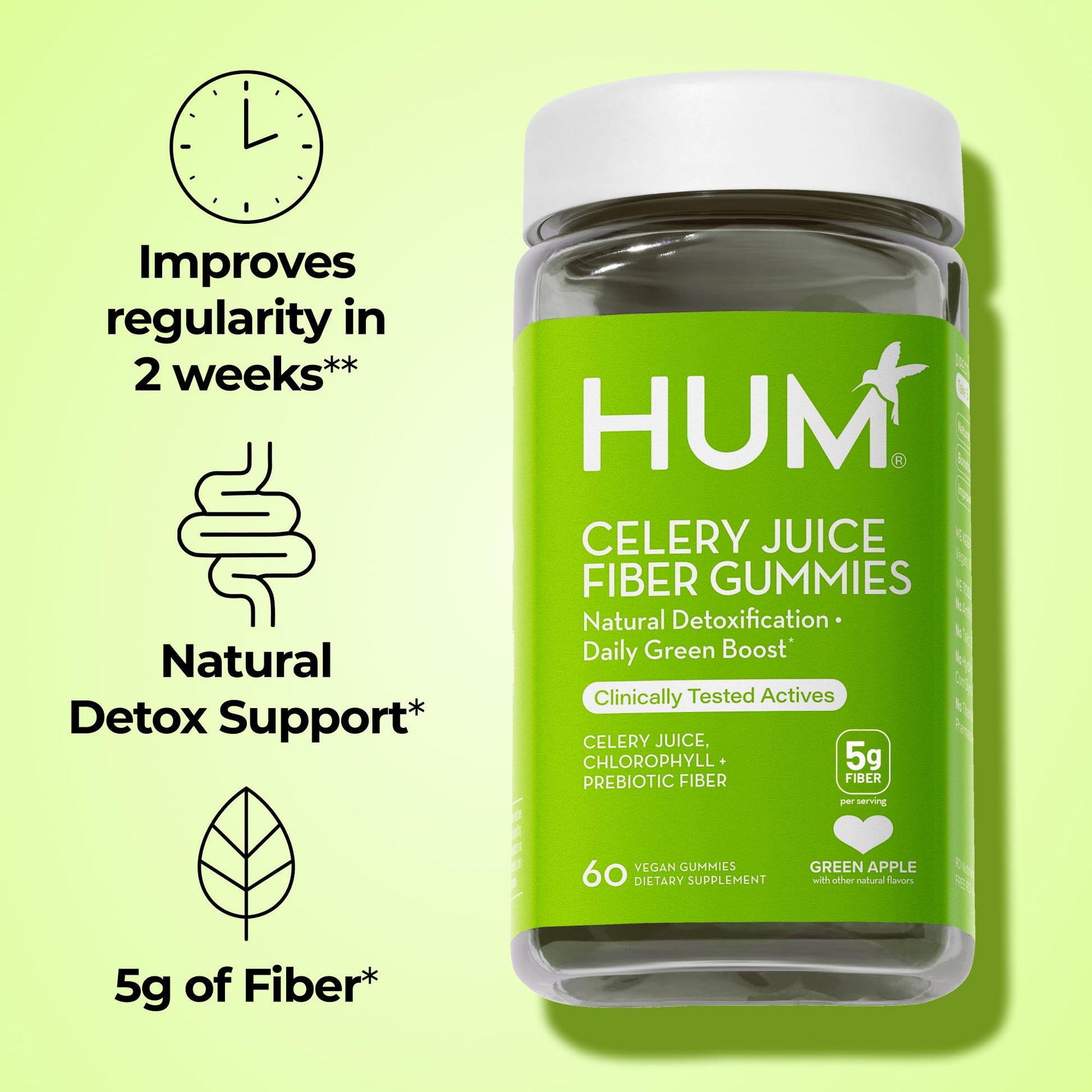 HUM Celery Juice Fiber Gummies for Adults, First Prebiotic Celery Juice Gummy, Gluten Free Fiber Supplement Supports Detoxification, Gut Health, Greens Gummies, Chlorophyll & Prebiotic Fiber, 60 Count HUM uk supplements