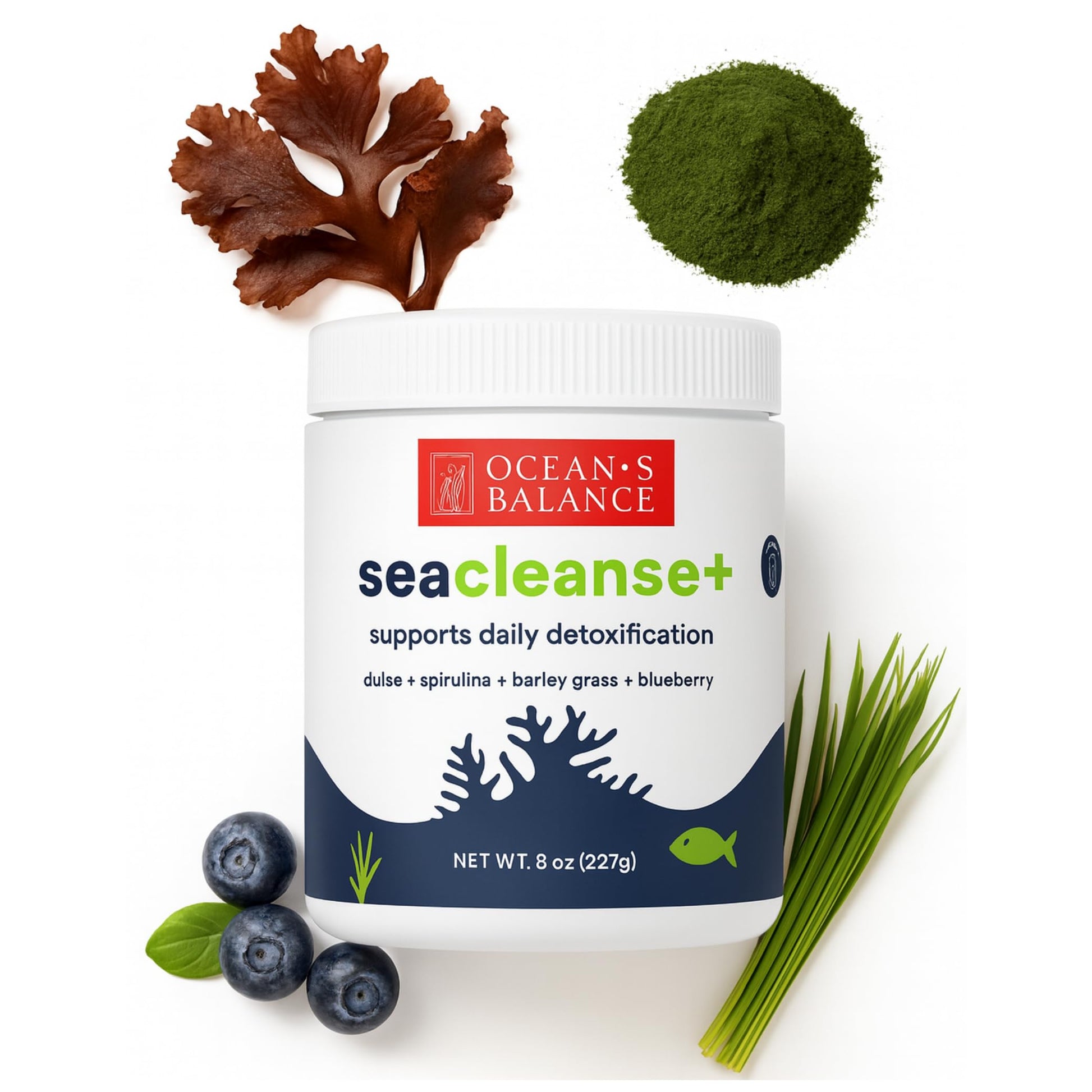 Ocean's Balance Seacleanse+ Daily Detox Cleanse Powder | Gut Health & Immune Support | Supports Gentle Cleanse & Vitality | 8oz Ocean's Balance Clean Taste of Maine uk supplements