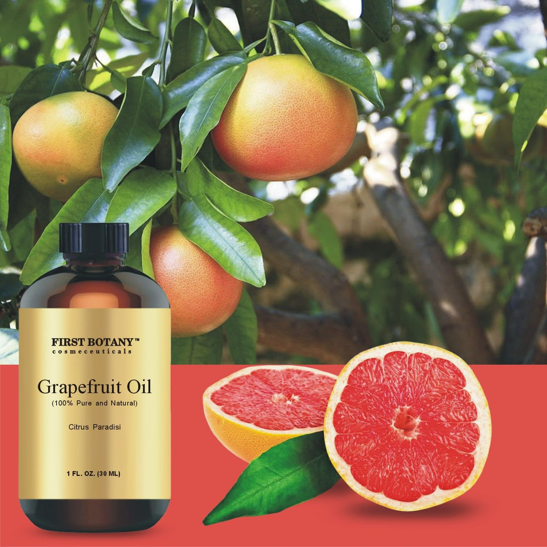 100% Pure Essential Oil - Premium Oil for Aromatherapy, Massage, Topical & Household Uses - 1 fl oz (Grapefruit) First Botany uk supplements