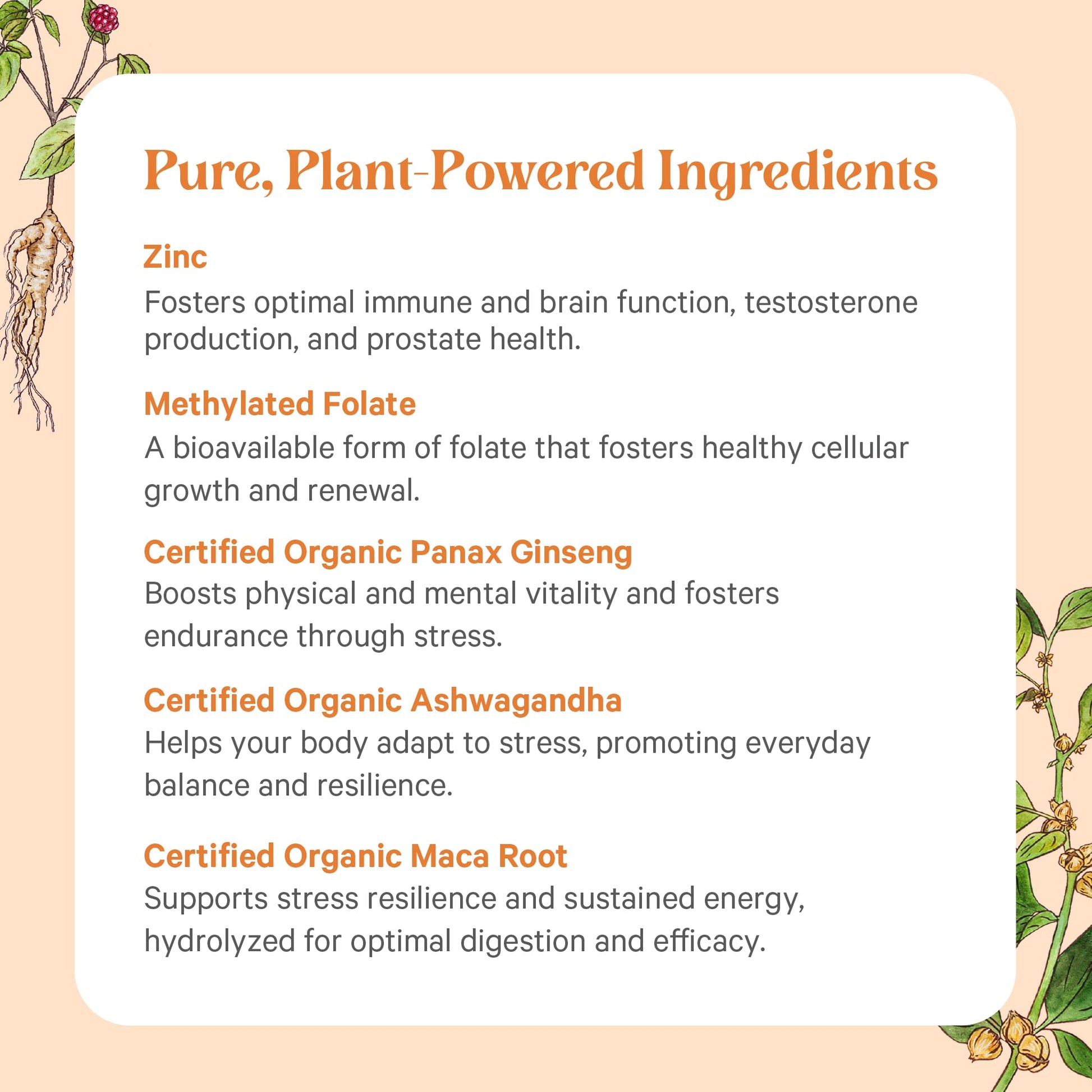 PURE SYNERGY Vita·Min·Vitality | Natural Multivitamin for Men | Men’s Daily Multivitamin Made with Organic Whole Foods | for Energy, Stress, and Immune Support (60 Tablets) PURE SYNERGY uk supplements