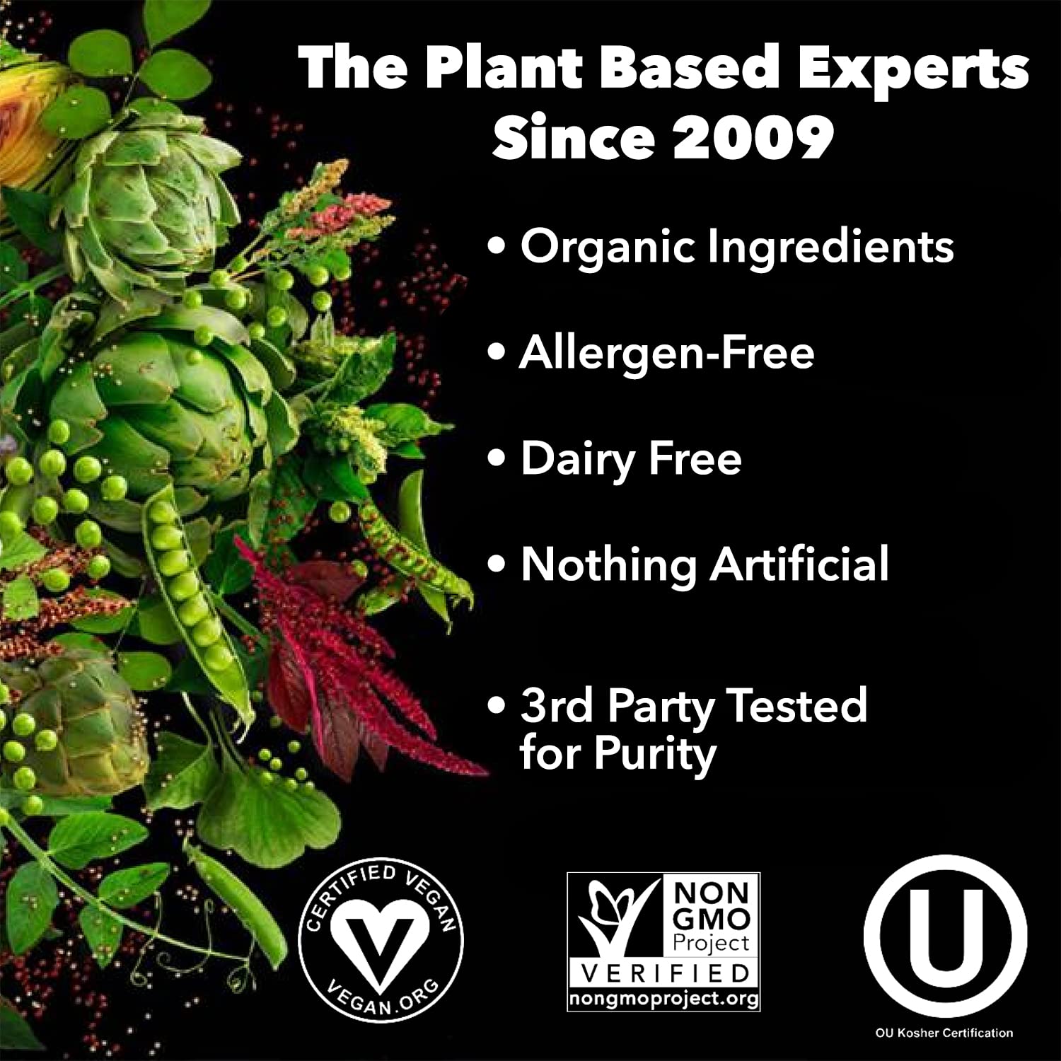 PlantFusion Complete Vegan Protein Powder - Plant Based Protein Powder With BCAAs, Digestive Enzymes and Pea Protein - Keto, Gluten Free, Soy Free, Non-Dairy, No Sugar, Non-GMO - Vanilla Bean 2 lb PlantFusion uk supplements