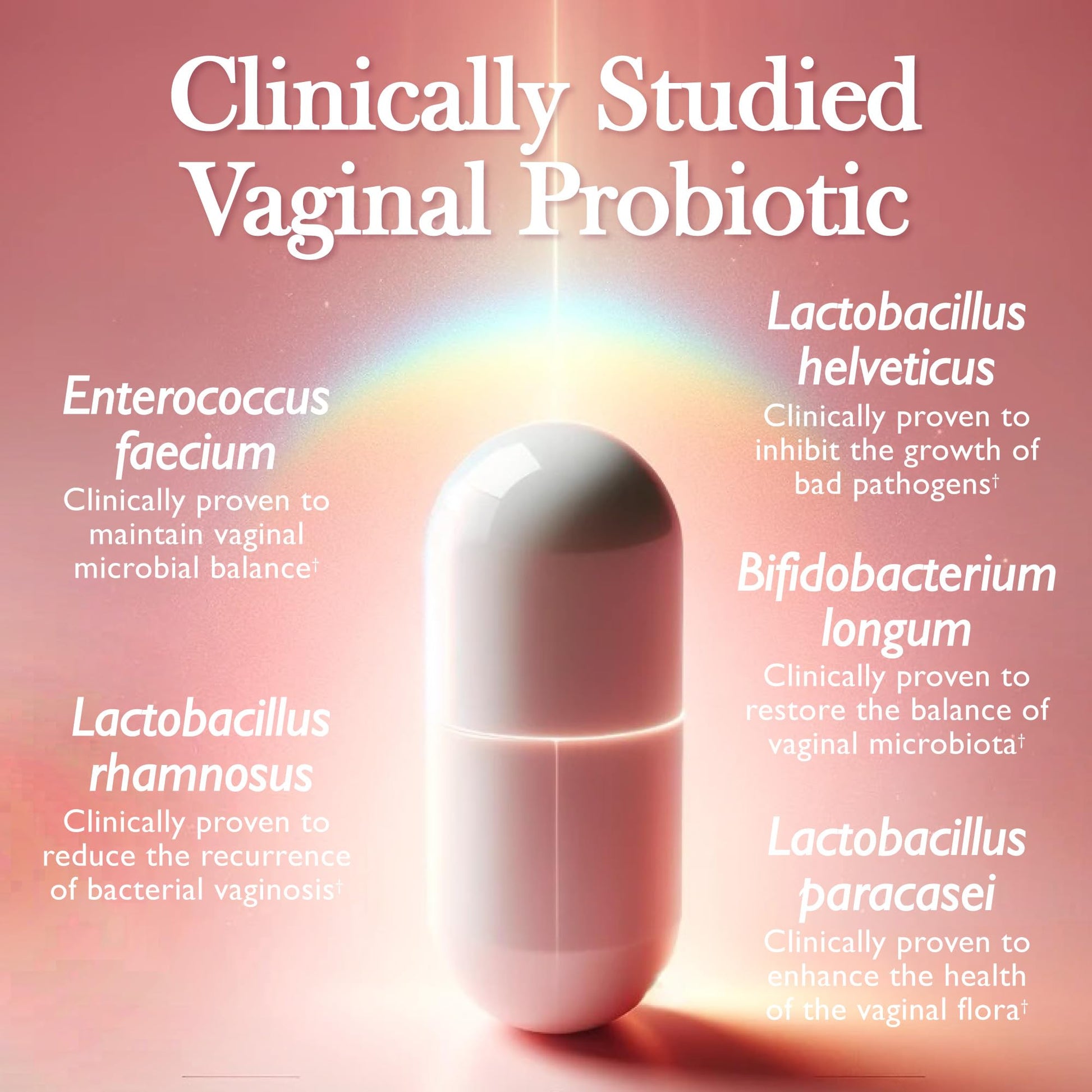 Amy Suzanne Vaginal Probiotics for Women - 10 Billion CFU Probiotic for pH Balance and Urinary Tract Health Amy Suzanne uk supplements
