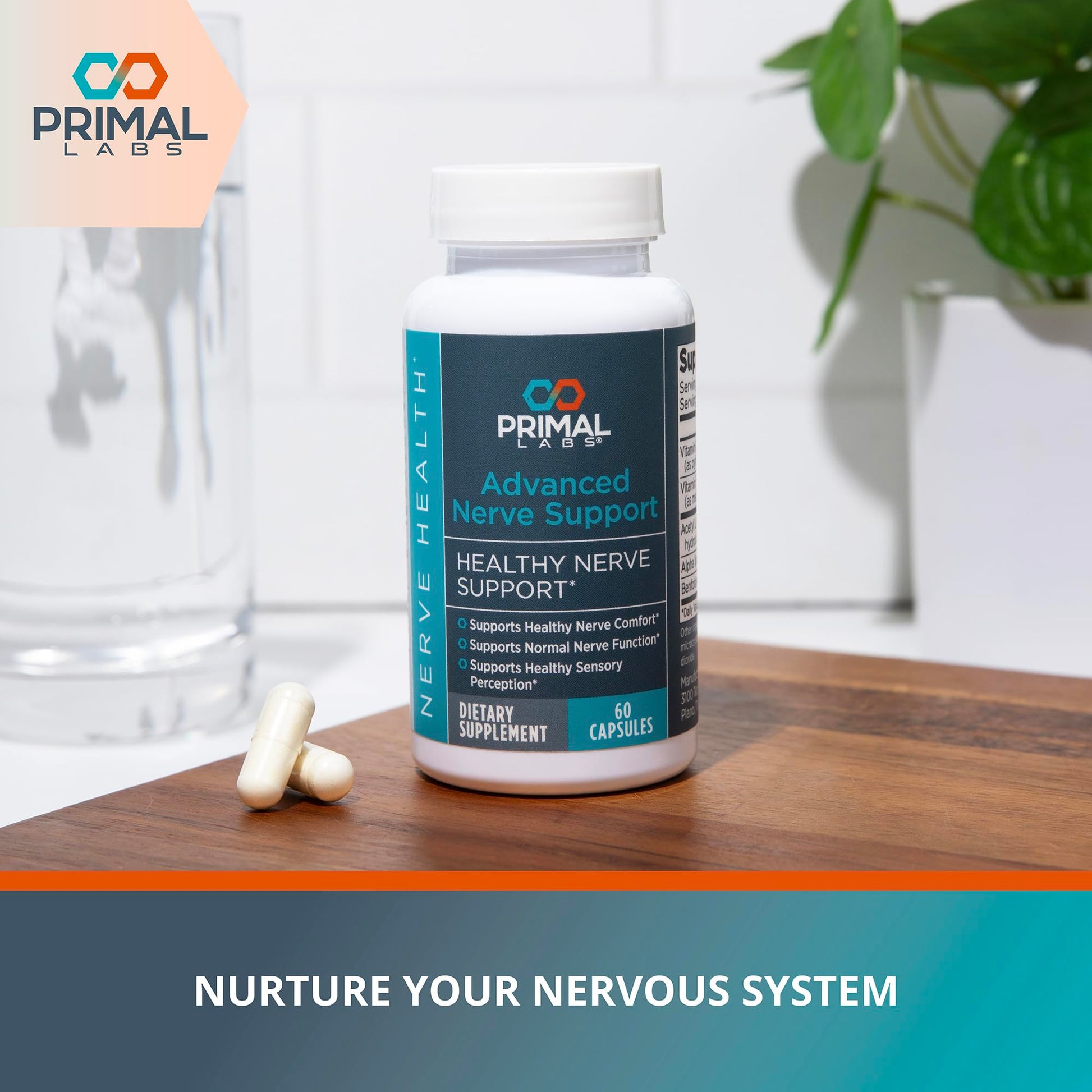 Primal Labs Nerve Support Capsules - Supports Nerve Health, Sensory Function & Comfort - Benfotiamine, Alpha Lipoic Acid, Acetyl L-Carnitine, Vitamins B6 B12-60 Count Primal Labs uk supplements