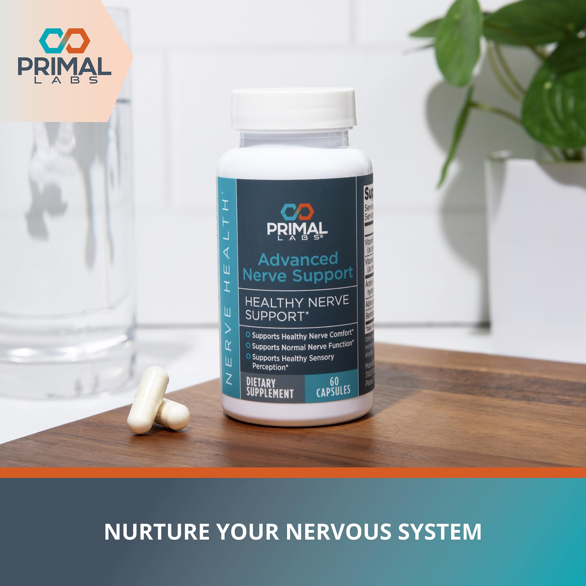 Primal Labs Nerve Support Capsules - Supports Nerve Health, Sensory Function & Comfort - Benfotiamine, Alpha Lipoic Acid, Acetyl L-Carnitine, Vitamins B6 B12-60 Count Primal Labs uk supplements