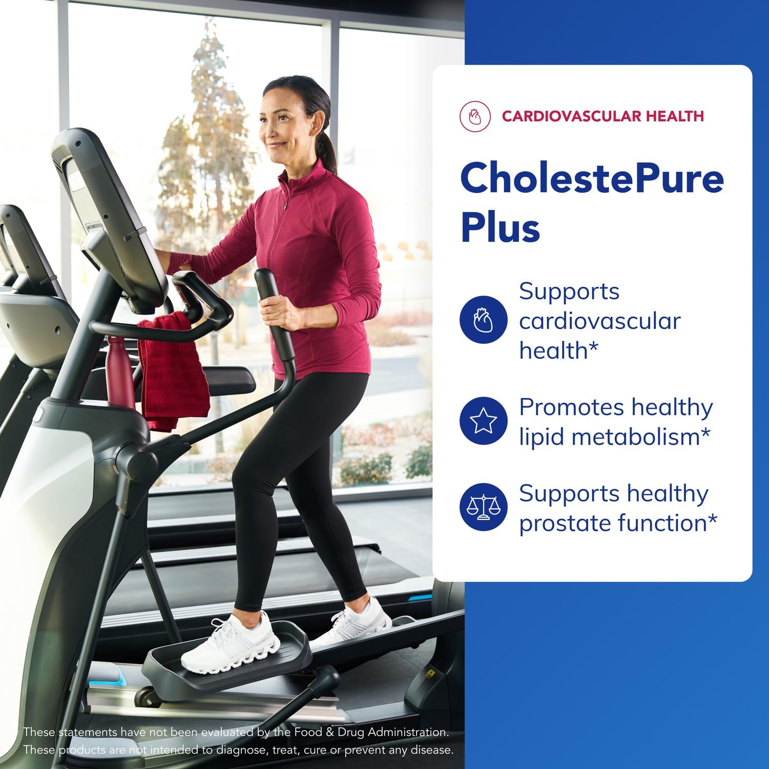 Pure Encapsulations CholestePure Plus 120's - Supports Lipid Metabolism & Heart Health* - Berberine Supplement - with Citrus Bergamot - Gluten Free & Non-GMO - 120 Capsules Pure Encapsulations uk supplements