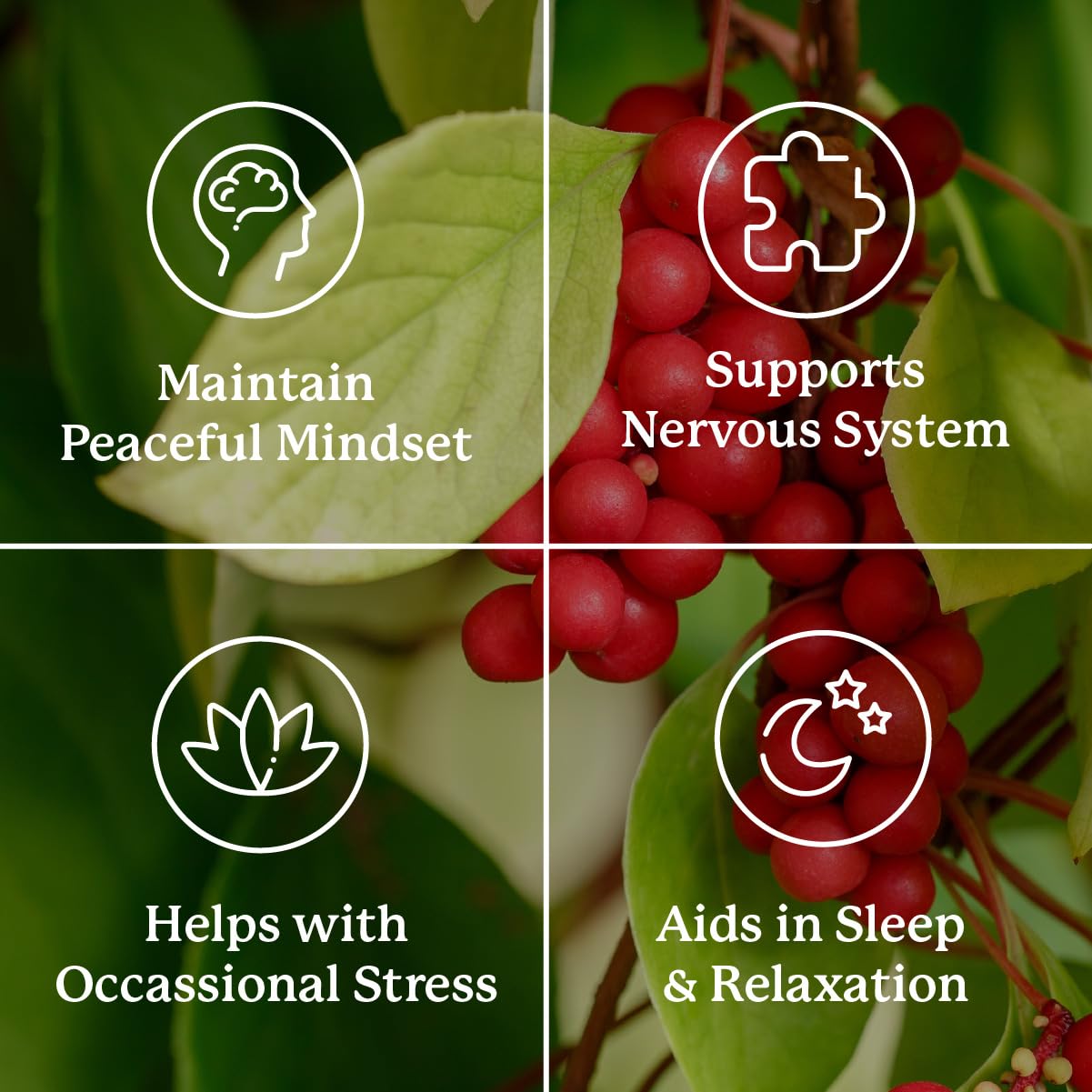 Nature's Sunshine Nutri-Calm- Herbal Stress Relief Supplement for Natural Relief, Mood Support and Boost, Nervous System Support - 100 Count Nature's Sunshine uk supplements
