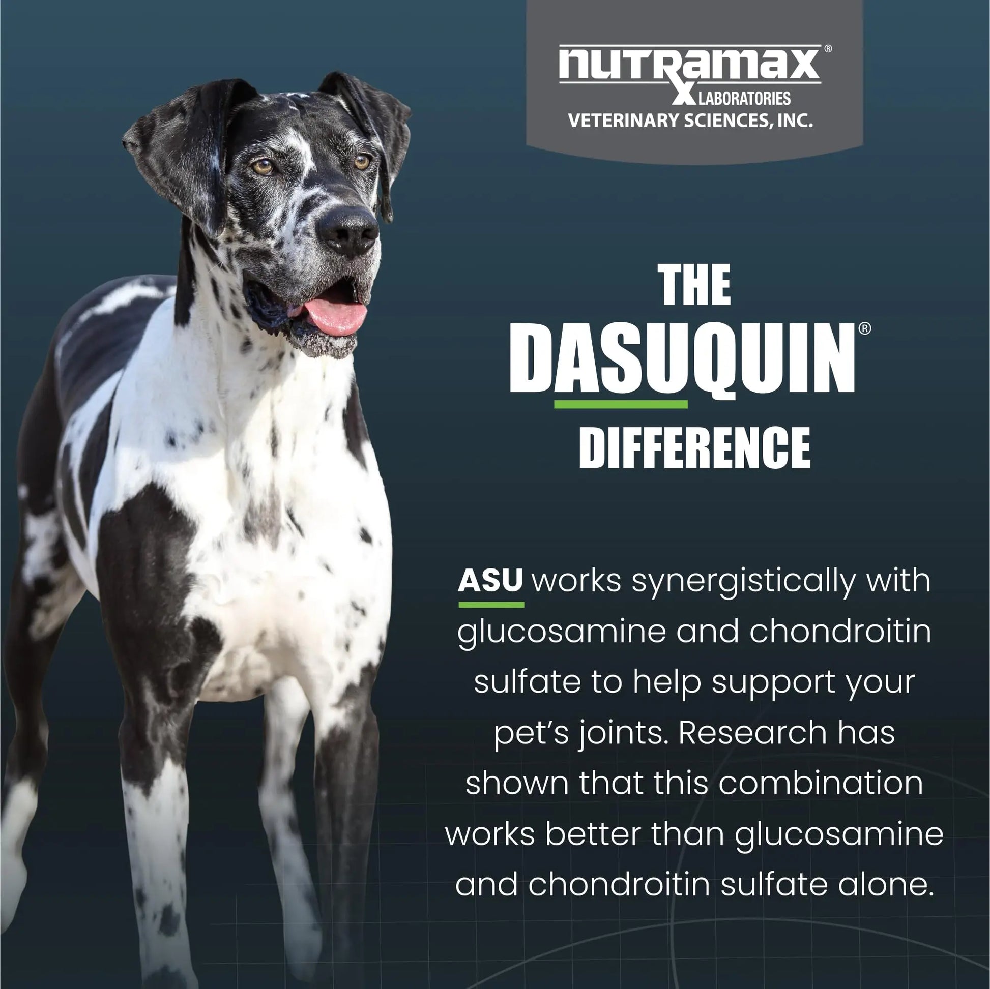 Nutramax Dasuquin for Large Dogs, Joint Health Supplement, Contains Glucosamine for Dogs, Plus Chondroitin, ASU and More, Supports Healthy Joints, Soft Chews, 150 Count Nutramax Laboratories uk supplements
