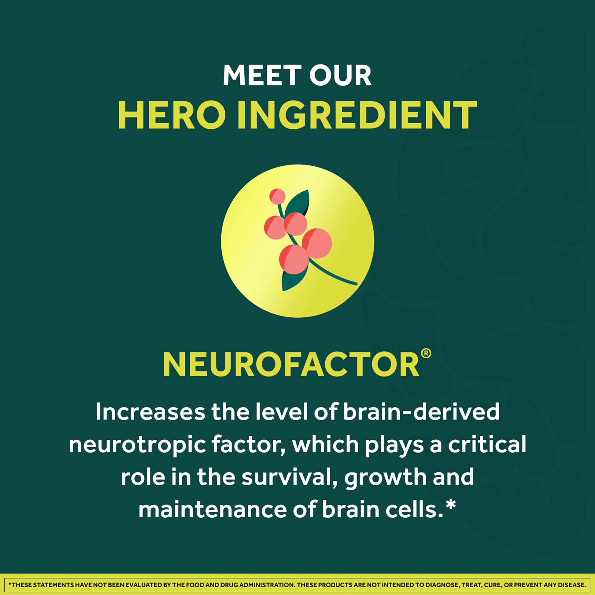 NEURIVA Brain + Energy Gummies, Nootropic Brain Supplements for Focus and Concentration with Neurofactor, Vitamin B12 & Caffeine for an Energy Boost*, 75ct Natural BlackBerry NEURIVA uk supplements
