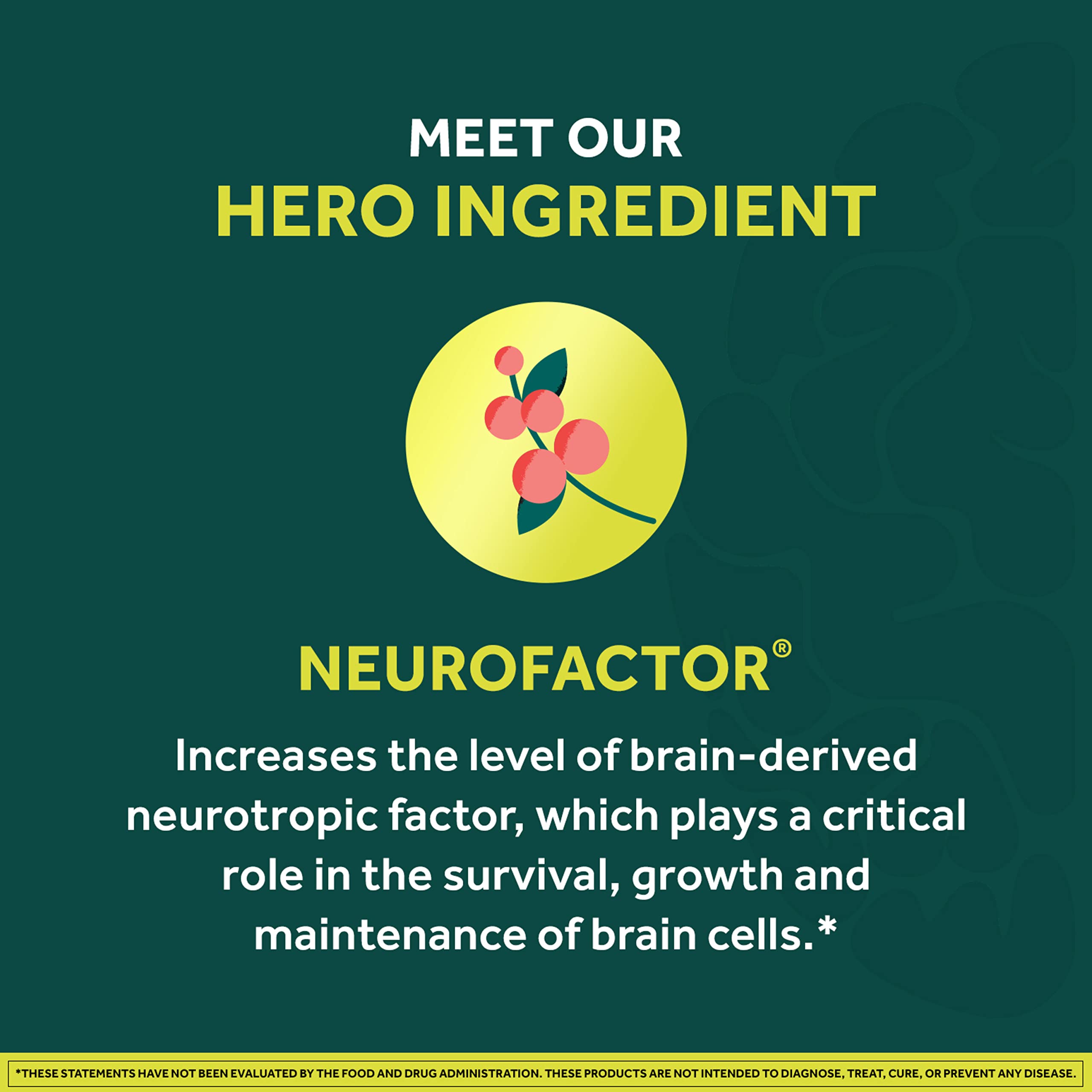 NEURIVA Brain + Energy Gummies, Nootropic Brain Supplements for Focus and Concentration with Neurofactor, Vitamin B12 & Caffeine for an Energy Boost*, 75ct Natural BlackBerry NEURIVA uk supplements