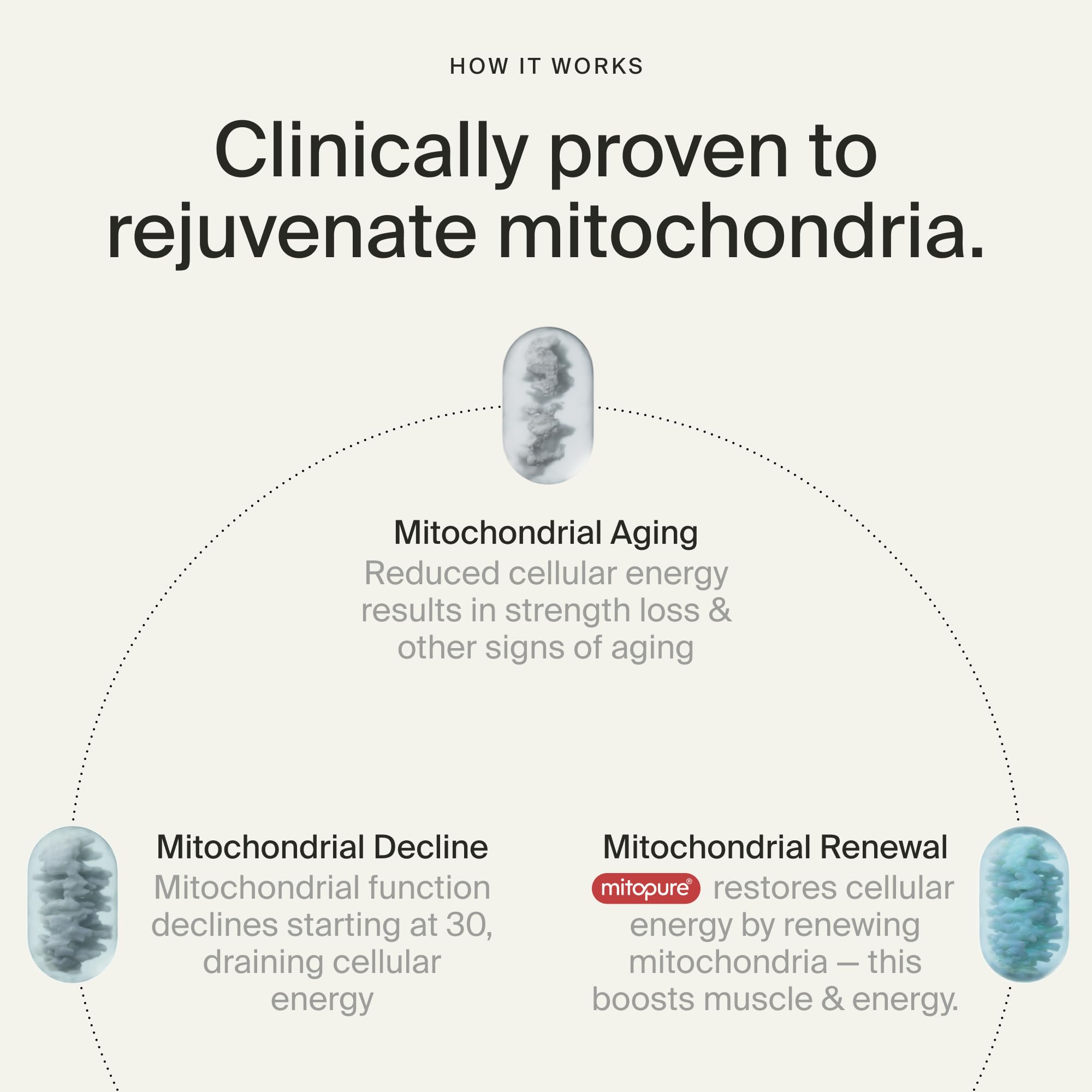 Timeline Mitopure Urolithin A Supplement Gummies - Clinically Proven Support for Healthy Aging Cellular Energy Muscle Strength and Longevity Timeline uk supplements