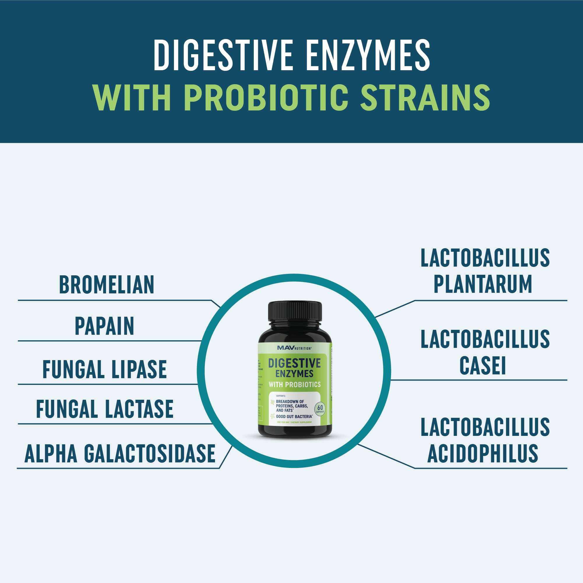 Digestive Enzymes with Probiotics for Bloating Relief & Digestive Health MAV NUTRITION uk supplements