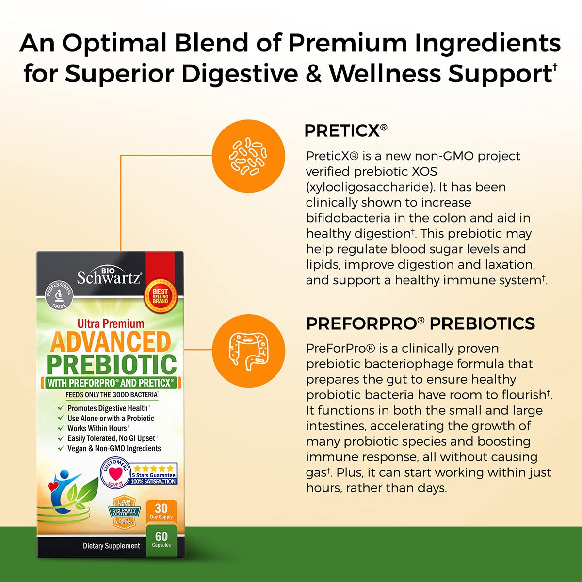 Prebiotics for Advanced Gut Health - Immune System Support & Dietary Fiber BioSchwartz uk supplements