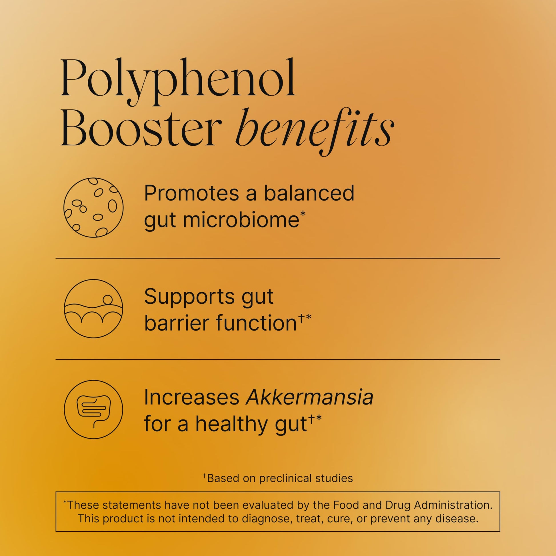 Pendulum Polyphenol Booster, Antioxidant from Superfoods, Beneficial Plant Compounds for Good Health, Helps Boost Akkermansia Muciniphila for Men & Women (60 Capsules, 1-Pack) Pendulum uk supplements