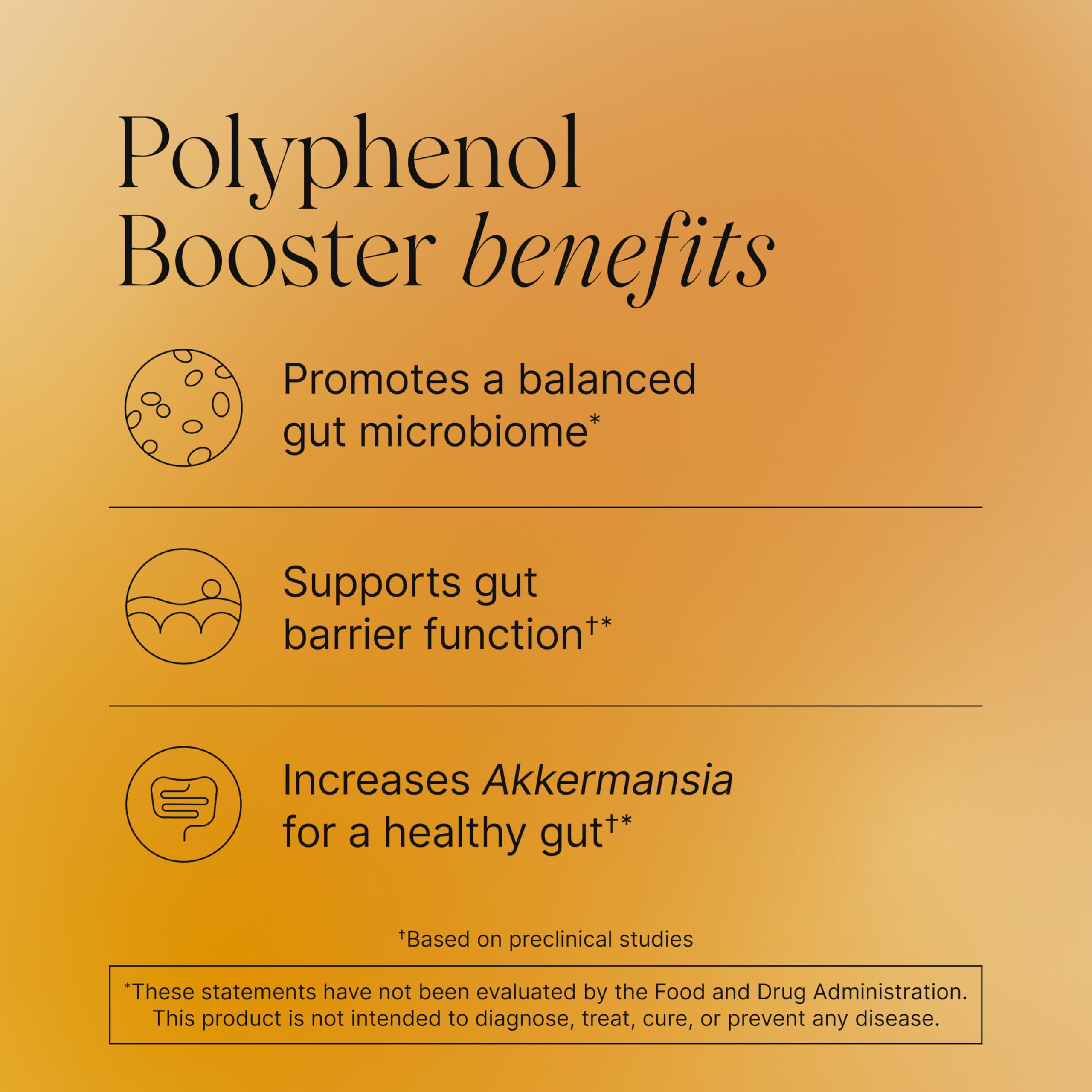 Pendulum Polyphenol Booster, Antioxidant from Superfoods, Beneficial Plant Compounds for Good Health, Helps Boost Akkermansia Muciniphila for Men & Women (60 Capsules, 1-Pack) Pendulum uk supplements