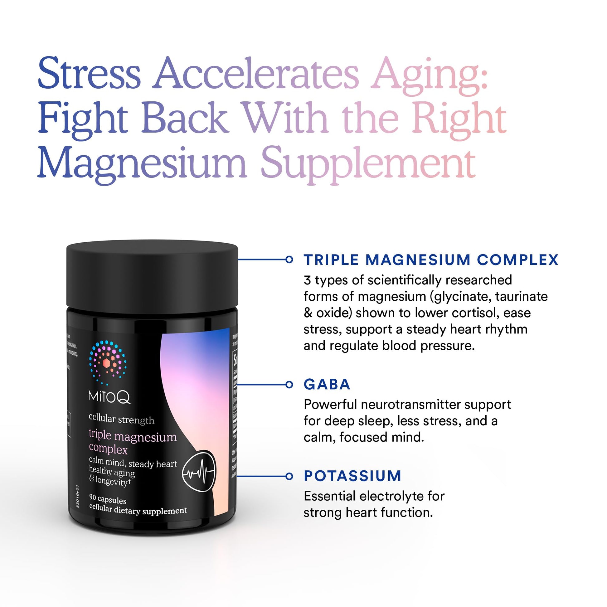 MitoQ Triple Magnesium Complex | Magnesium Glycinate, Taurinate, Oxide with GABA for Heart Health, Stress Management, & Deeper Sleep | High Absorption | 90 Capsules MitoQ uk supplements