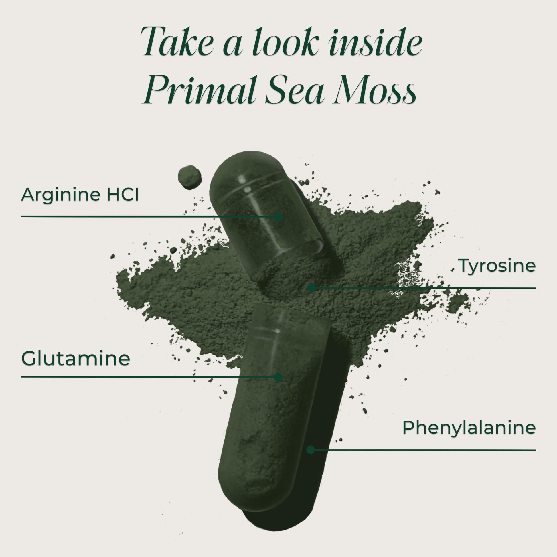 Primal Harvest Sea Moss Capsules with Bladderwack and Irish Sea Moss, Chlorella, Broccoli Seed Extract Plant-Based Supplements for Adults Primal Harvest uk supplements
