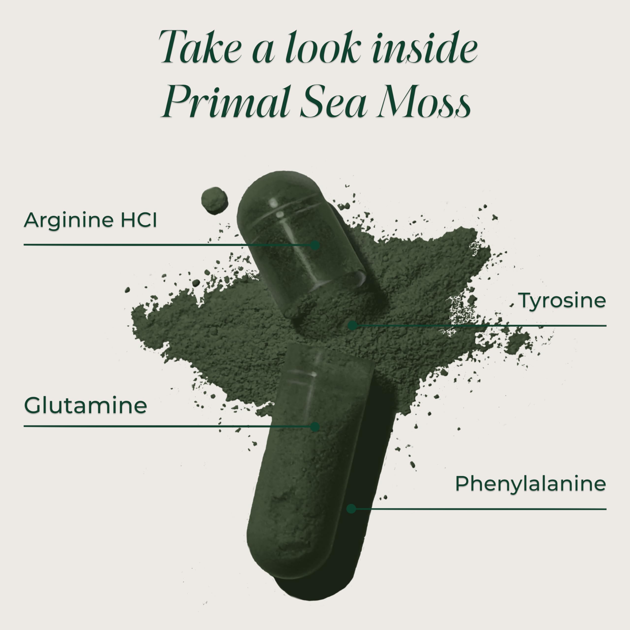 Primal Harvest Sea Moss Capsules with Bladderwack and Irish Sea Moss, Chlorella, Broccoli Seed Extract Plant-Based Supplements for Adults Primal Harvest uk supplements