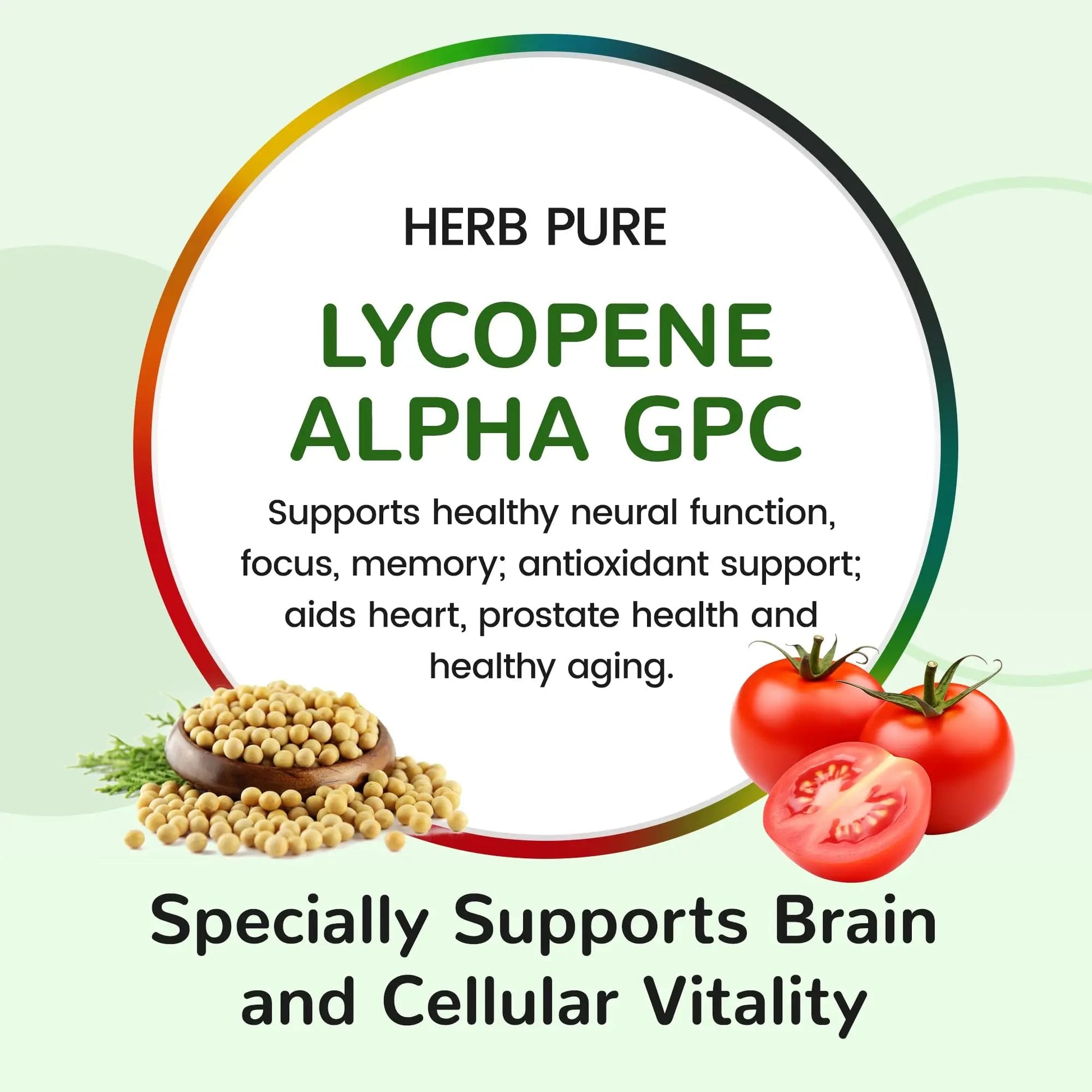 HERB PURE Multi Vitamin Complex Daily Multivitamin for Men and Women – 28 Essential Vitamins & Minerals with Active Vitamins, Superfood Blend, Alpha GPC HERB PURE uk supplements