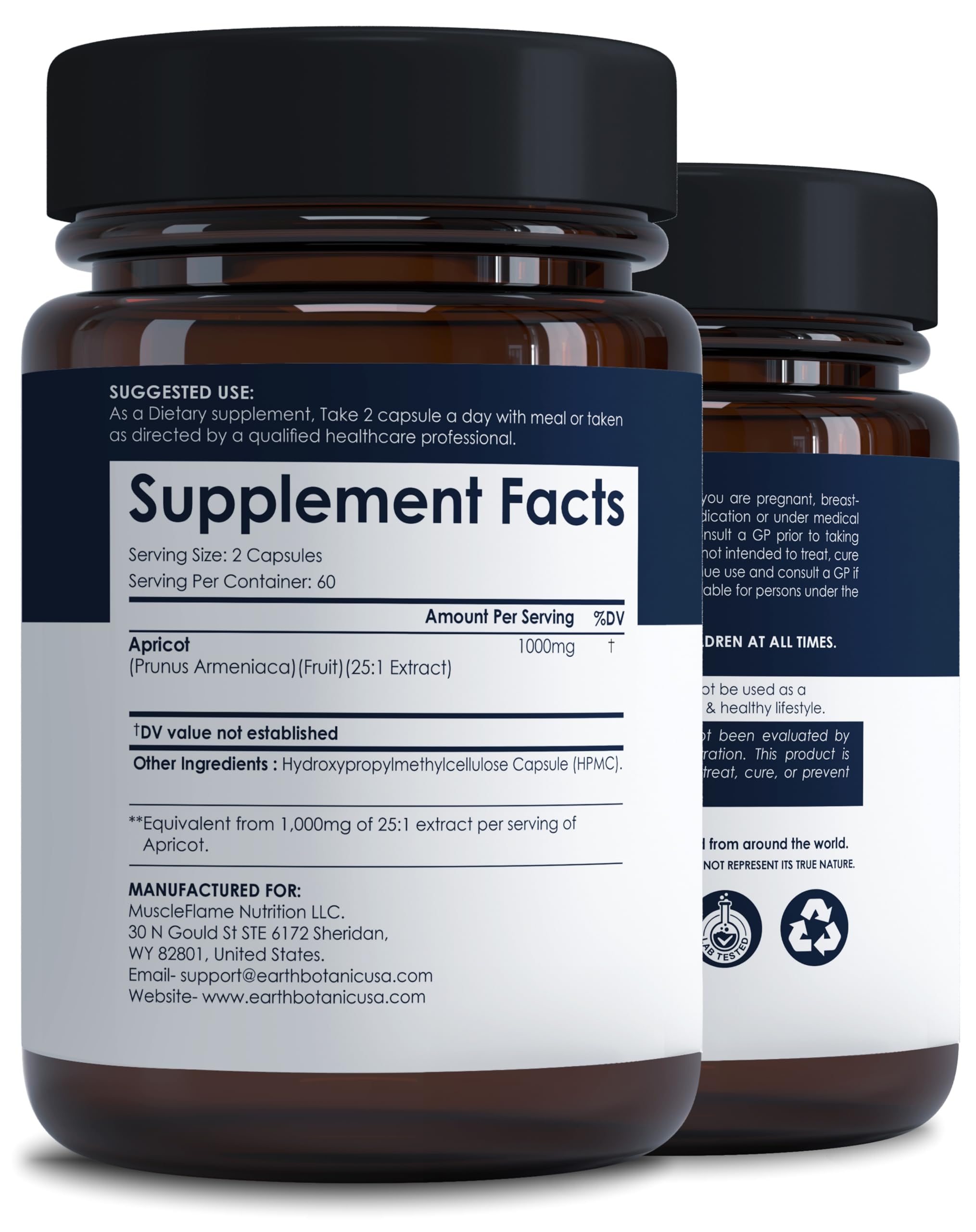 Earth BOTANIC Organic Apricot Extract, 1000 mg 120 Veggie Capsules (Vegan, Non-GMO) Herbal Supplements Earth BOTANIC Organic uk supplements