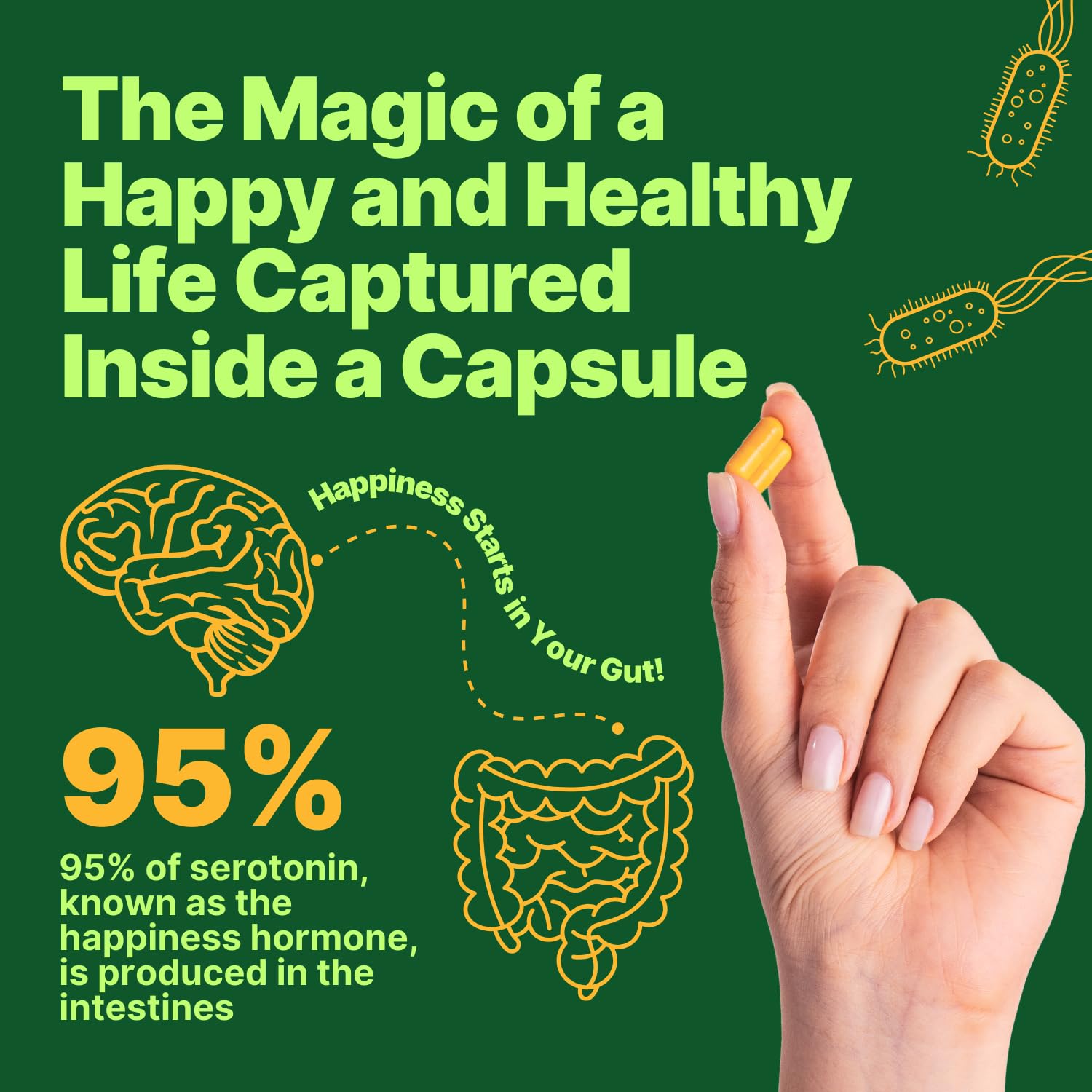 anocin Akkermansia Muciniphila + Probiotic, Postbiotic & Inulin - Gut Health Supplement for Digestion, Immune Support - 10 Billion CFU, Vegan & Gluten-Free anocin uk supplements