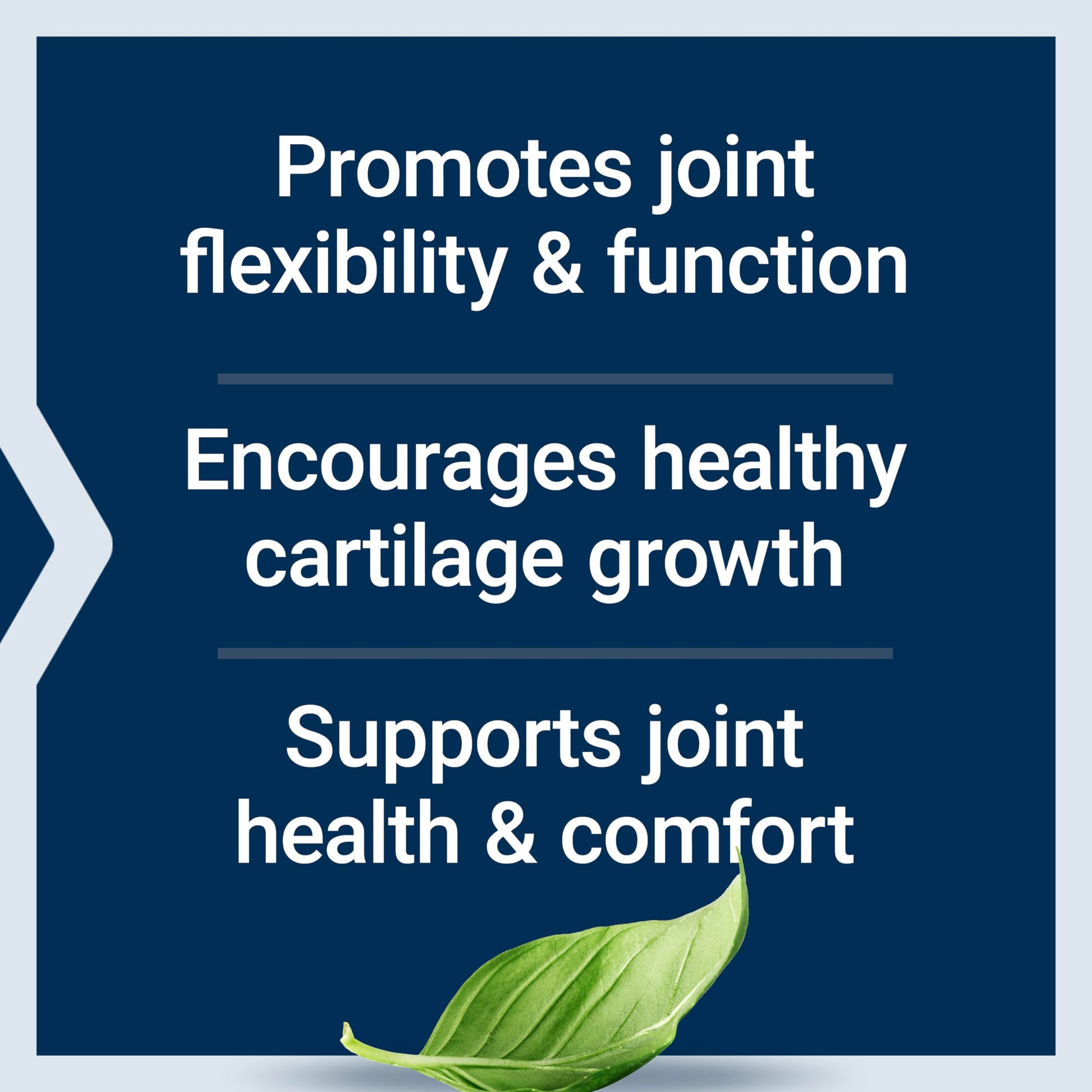 Life Extension NT2 Collagen™, Joint Health Supplement for Joint Comfort & Mobility, Gluten-Free, Non-GMO, 1 Daily, 60 Small Capsules Life Extension uk supplements