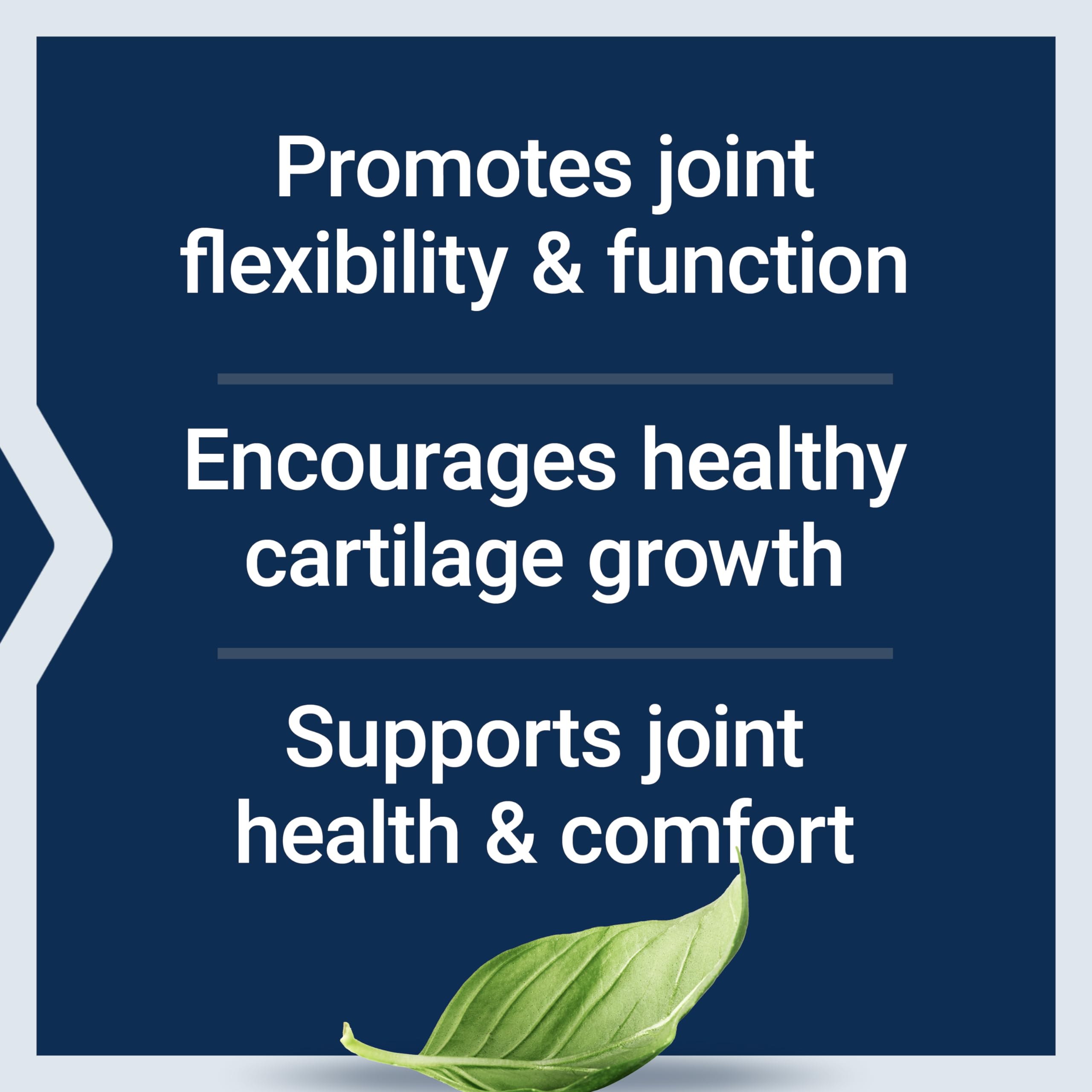 Life Extension NT2 Collagen™, Joint Health Supplement for Joint Comfort & Mobility, Gluten-Free, Non-GMO, 1 Daily, 60 Small Capsules Life Extension uk supplements