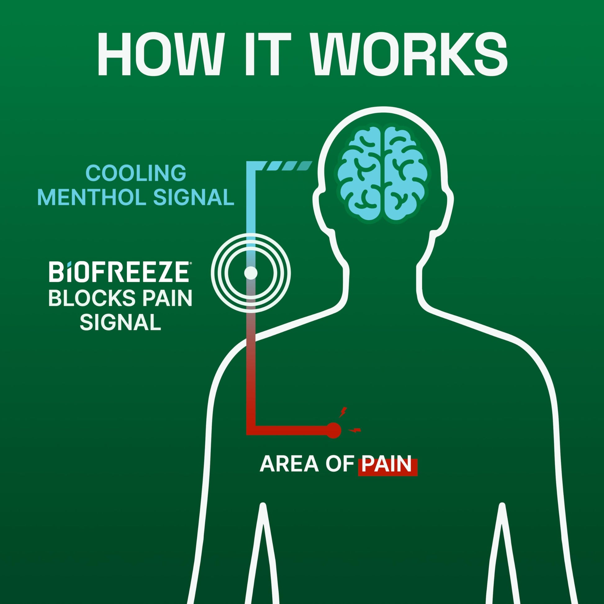 Biofreeze Gel Menthol Pain Relieving Colorless Gel 4 FL OZ Tube For Pain Relief Associated With Sore Muscles, Arthritis, Simple Backaches, And Joint Pain Biofreeze uk supplements