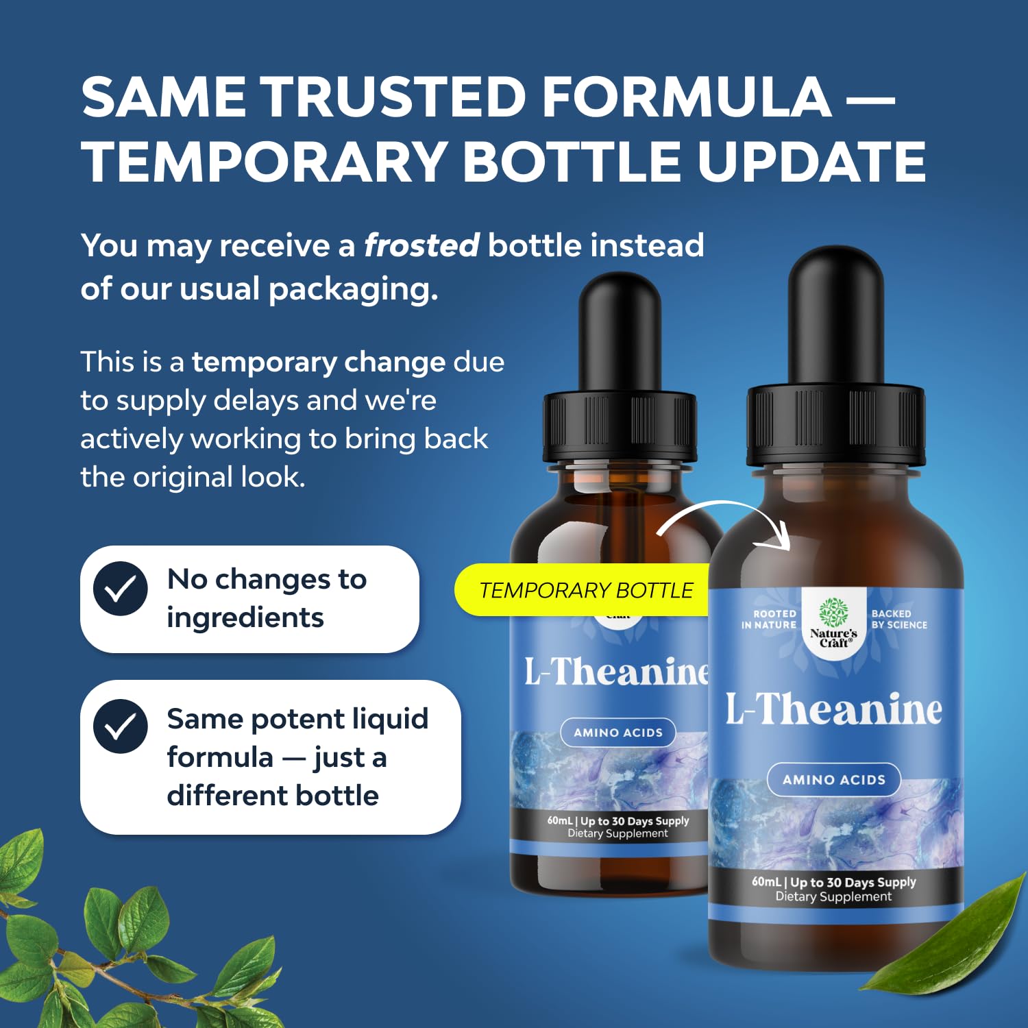 High Absorption L-Theanine Liquid Drops - Nootropic Focus Supplement with L Theanine 200mg Per Serving and Chamomile Extract Supplement for Adults and Kids Relaxation and Focus - 2 Fl Oz Natures Craft uk supplements