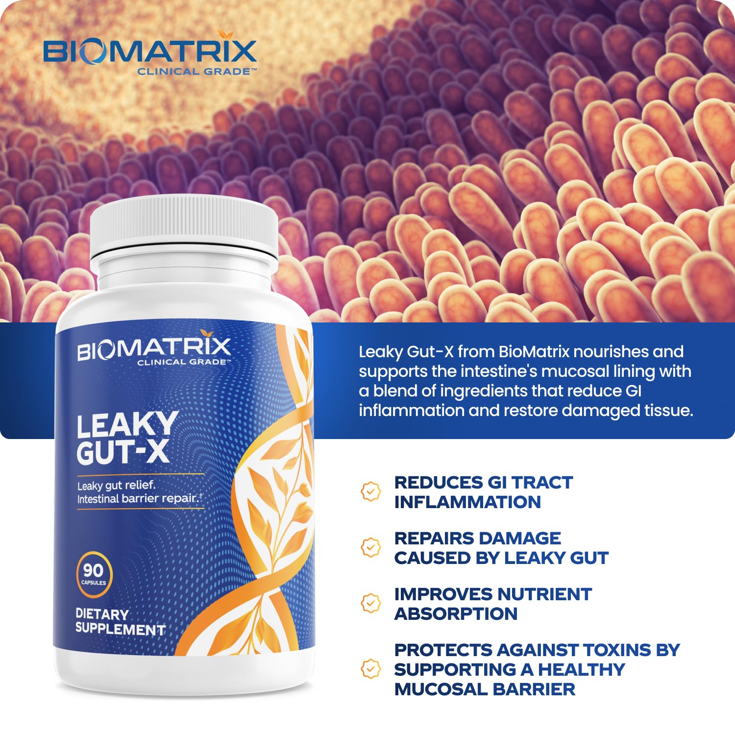 BioMatrix Leaky Gut Repair Supplement w/Glutamine, Quercetin, Cat's Claw, MSM, SIBO, Prebiotic Support, Intestinal Barrier Revive for Men and Women | 60-Day Supply – Leaky Gut-X BioMatrix uk supplements