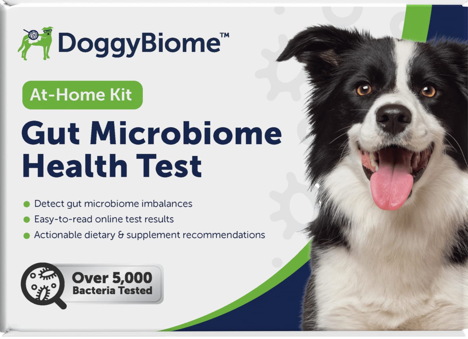 AnimalBiome Dog Gut Health Test – DoggyBiome At Home Stool Testing Kit, Canine Fecal Analysis for Digestive Issues, Diarrhea & Allergy Insights w/Personalized Report & Custom Plan (Dogs Outside US) AnimalBiome uk supplements