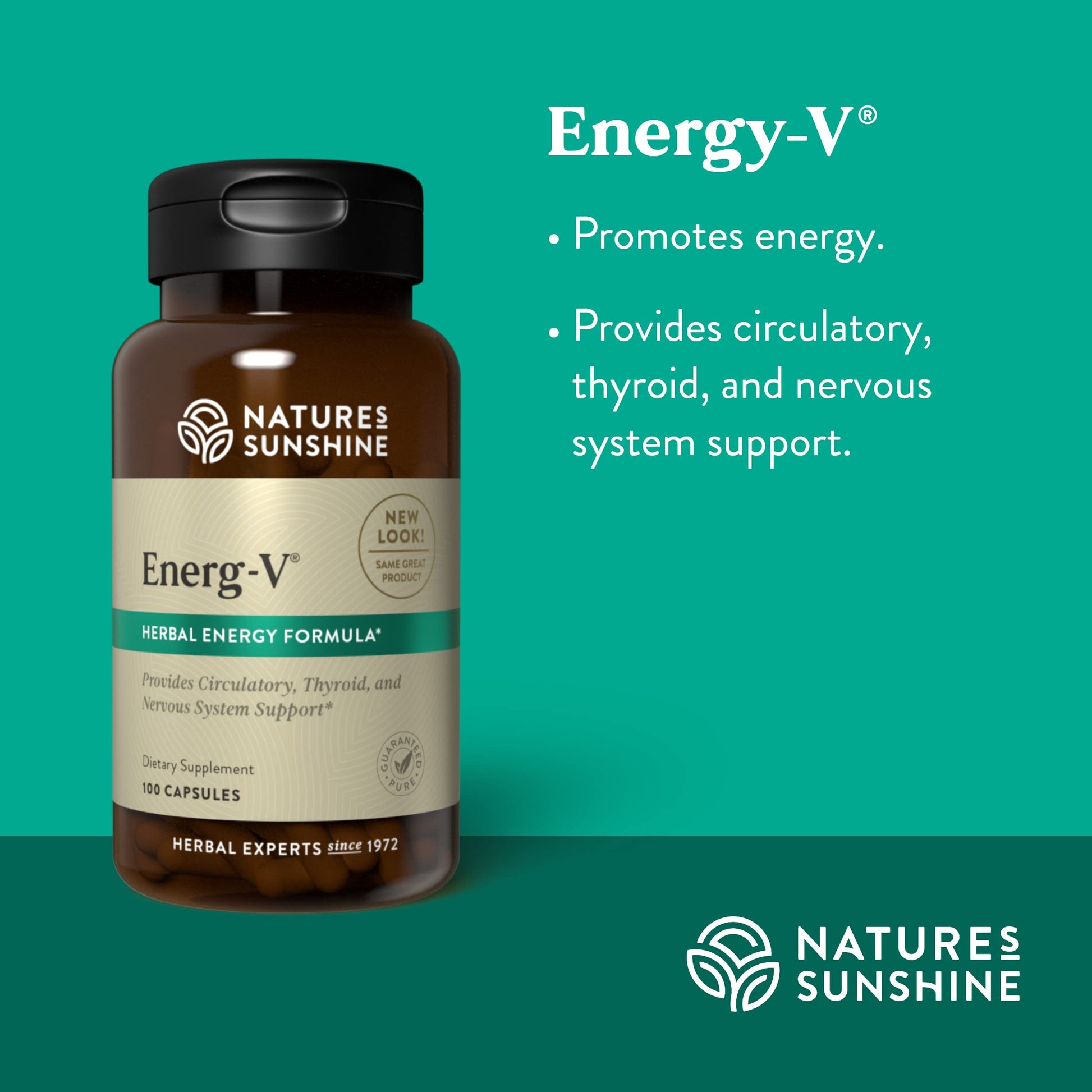 Nature's Sunshine Energ-V - Herbal Blend to Support Energy Levels (100 Capsules) Nature's Sunshine uk supplements