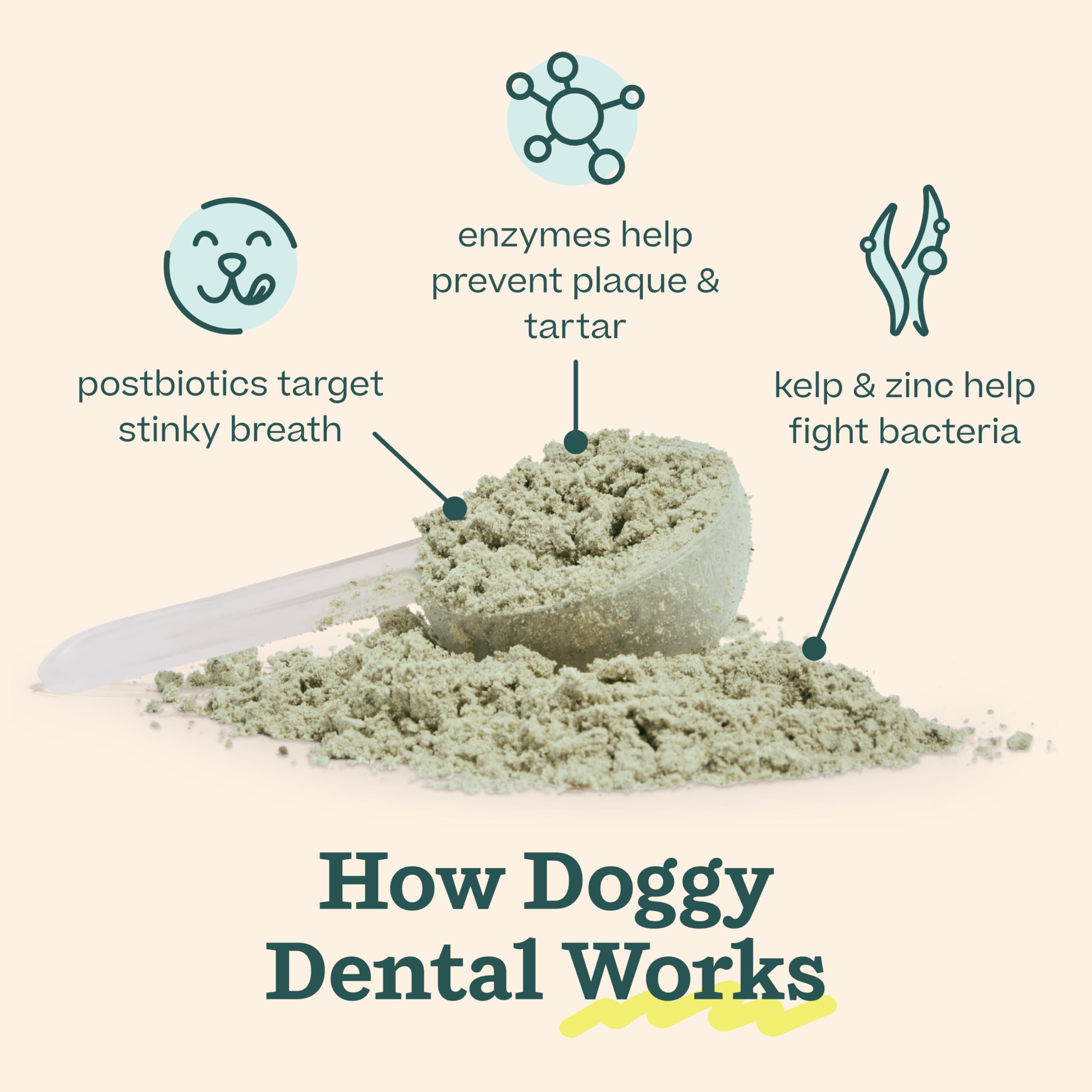 Woof Doggy Dental Pupsicle Mix - Dog Teeth Cleaning Powder for The Pupsicle - Long Lasting Postbiotic Dental Enzyme Mix to Support Oral Health for Dogs WOOF uk supplements