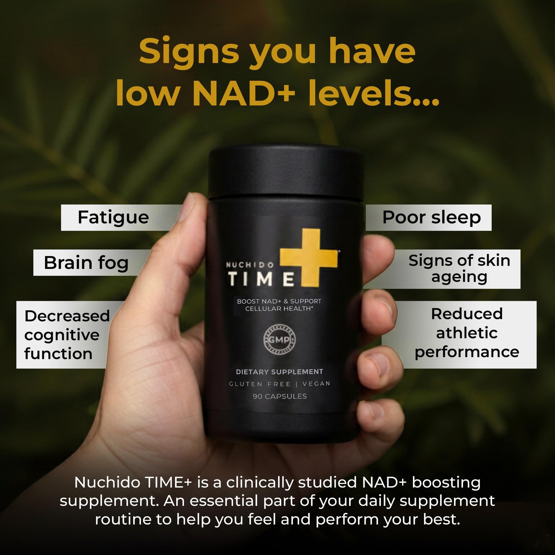 Nuchido Time+ NAD Supplement for Men & Women - Advanced Formula for Healthy Aging, Energy, Focus, Cellular Health & Longevity - Nicotinamide, Alpha Lipoic Acid, Quercetin - 90 Capsules Nuchido Time+ uk supplements