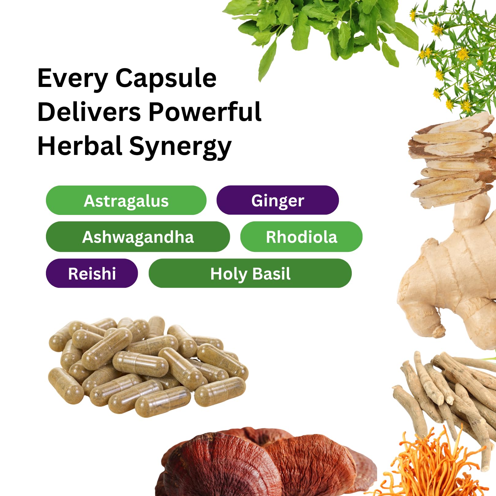 Paradise Herbs, Imperial Adaptogens, with Ashwagandha, Astragalus, Rhodiola, Proprietary Adaptogen Blend for Stress Support, Focus & Energy, 60 Vegetarian Capsules Paradise Herbs uk supplements