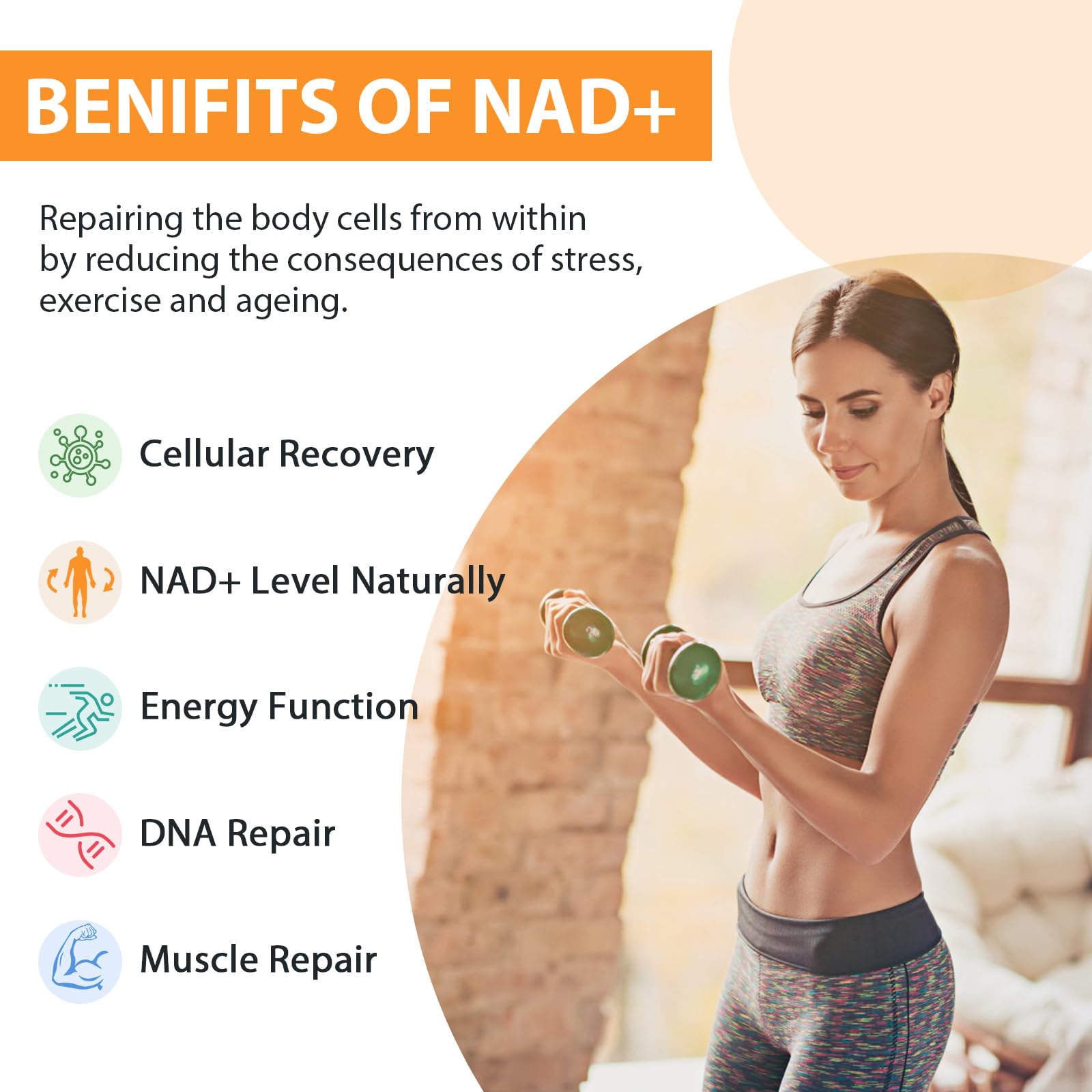 Orgabay Liposomal NAD+ Supplement 500 mg, High Absorption, Boost NAD+ with TMG 250 mg, Actual NAD Plus More Efficient Than Nicotinamide Riboside, Support Cellular Energy, Healthy Aging | 240 Softgels Orgabay uk supplements