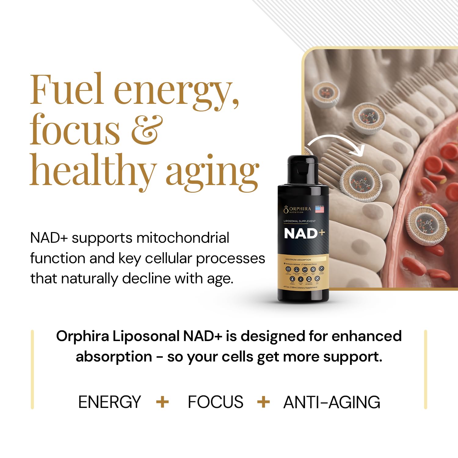 Orphira Liquid Liposomal NAD+ Supplement - 10x Better Absorption for Cellular Energy, Mental Clarity, Healthy Aging & Vitality Support - Enhanced NAD Plus, Vegan, Non-GMO - 30 Servings (4 fl oz) Orphira Nutrition uk supplements
