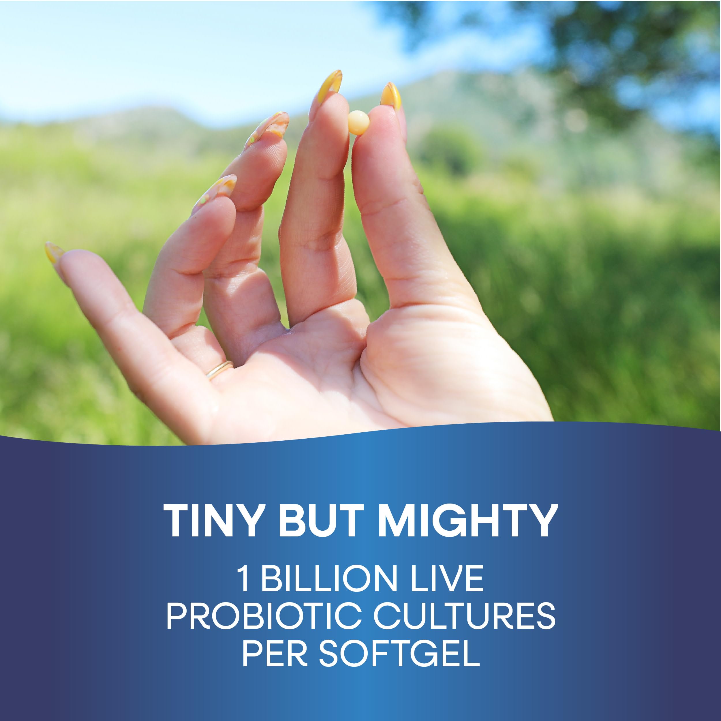 Probiotic Pearls Acidophilus Once Daily Probiotic Supplement, 1 Billion Live Cultures, Survives Stomach Acid, No Refrigeration, 90 Softgels Nature's Way uk supplements