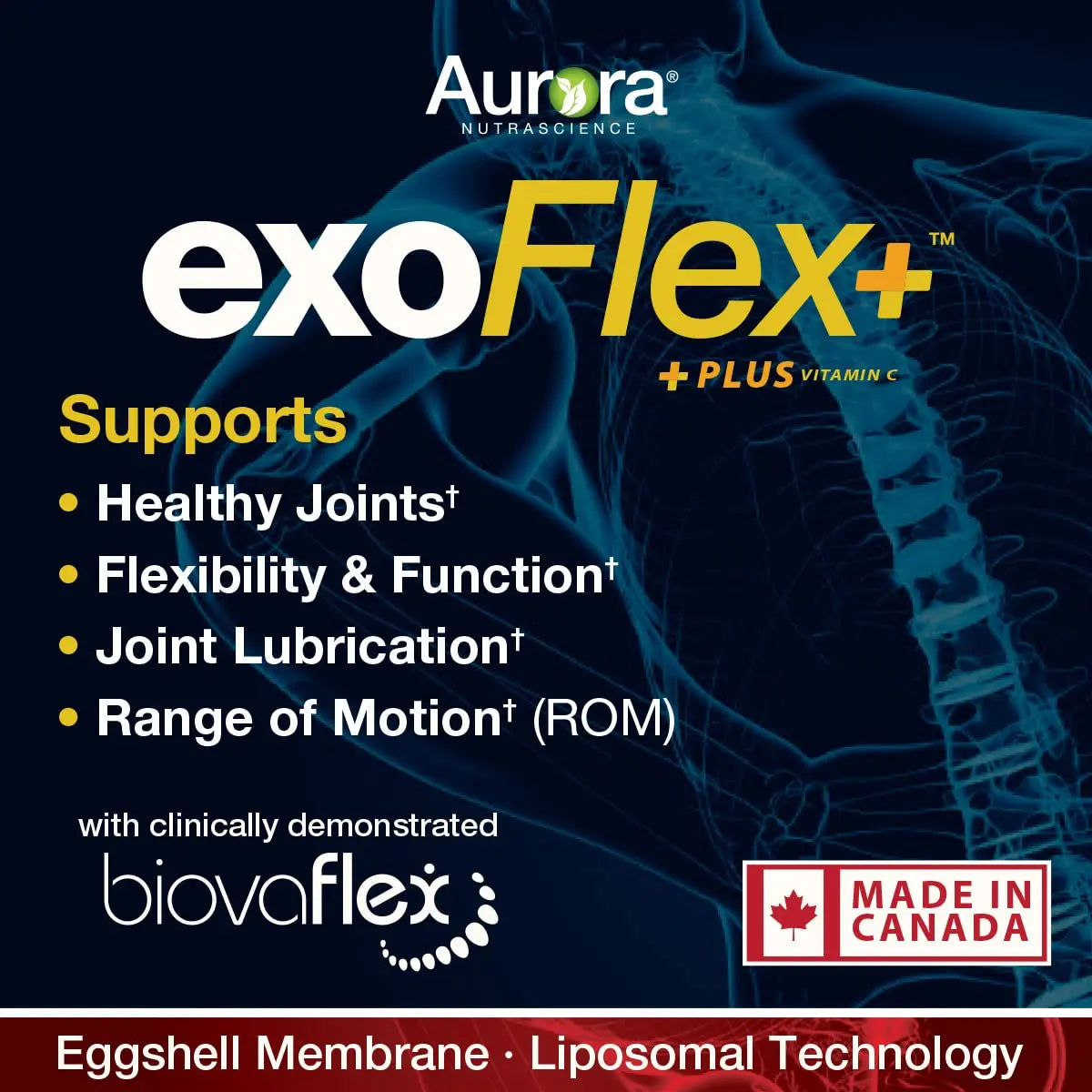 Aurora Nutrascience Micro-Pack Liposomal exoFlex+ with Vitamin C, Supports Joint Flexibility & Function, BiovaFlex Eggshell Membrane, Curcumin & Boswellia, Strwaberry Flavor, 30 Servings, 10 fl oz Vida Lifescience uk supplements
