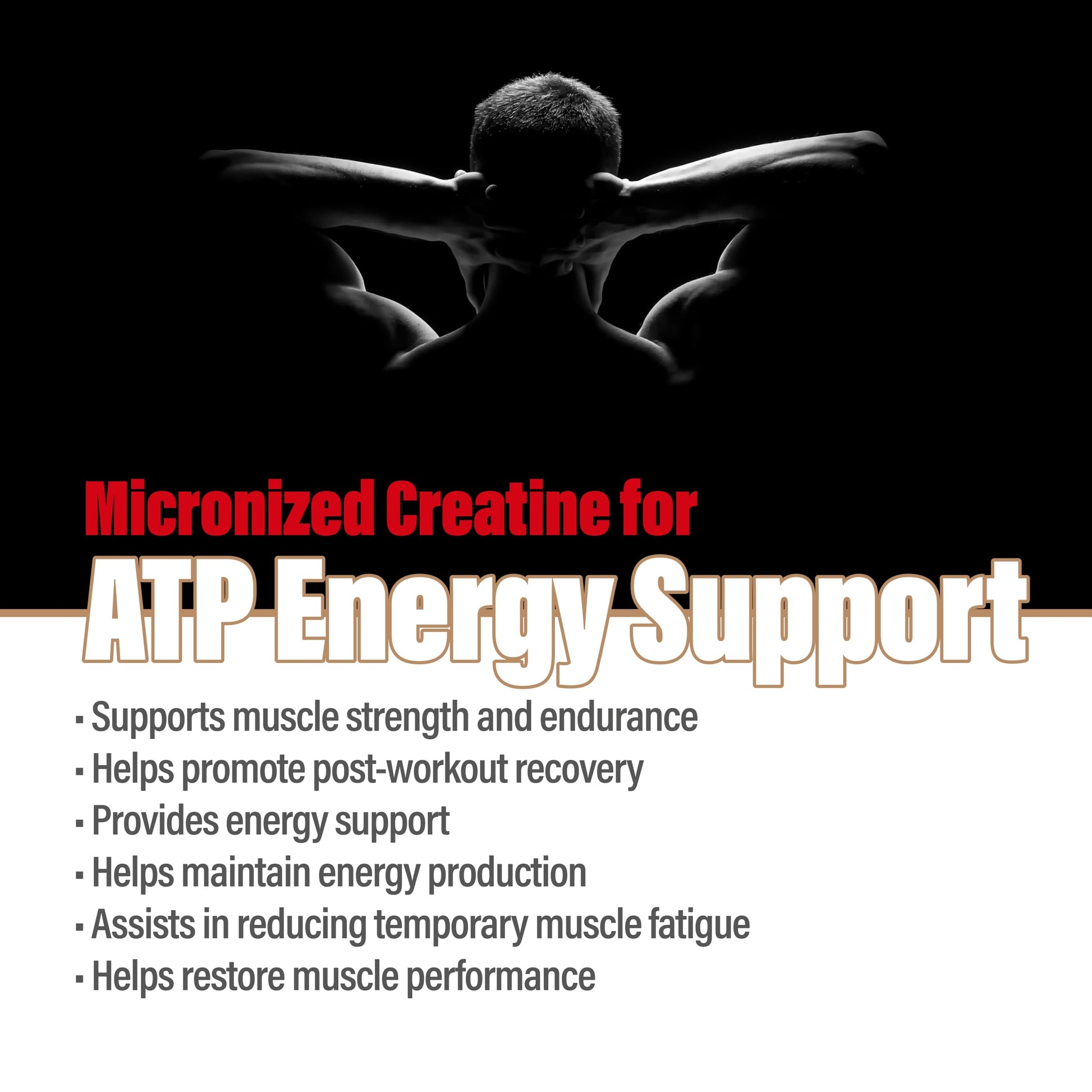 METALIFE 100% Pure Creatine Monohydrate Powder, Canada-Made, 1000 g (200 Servings) Micronized Powder, Muscle Growth, Unflavored, Ideal for Athletes & Fitness Enthusiasts, Third party lab tested, Vegan METALIFE uk supplements
