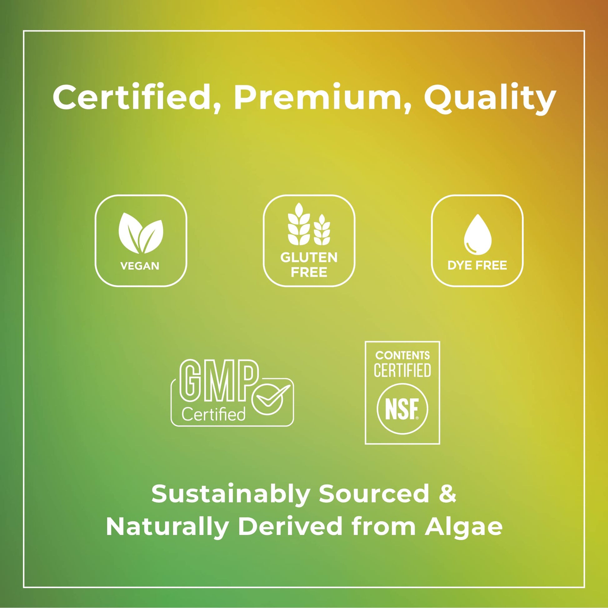 Theralogix PhytoLife Omega - 90-Day Supply - Vegan Algae Omega-3 Supplement Theralogix uk supplements
