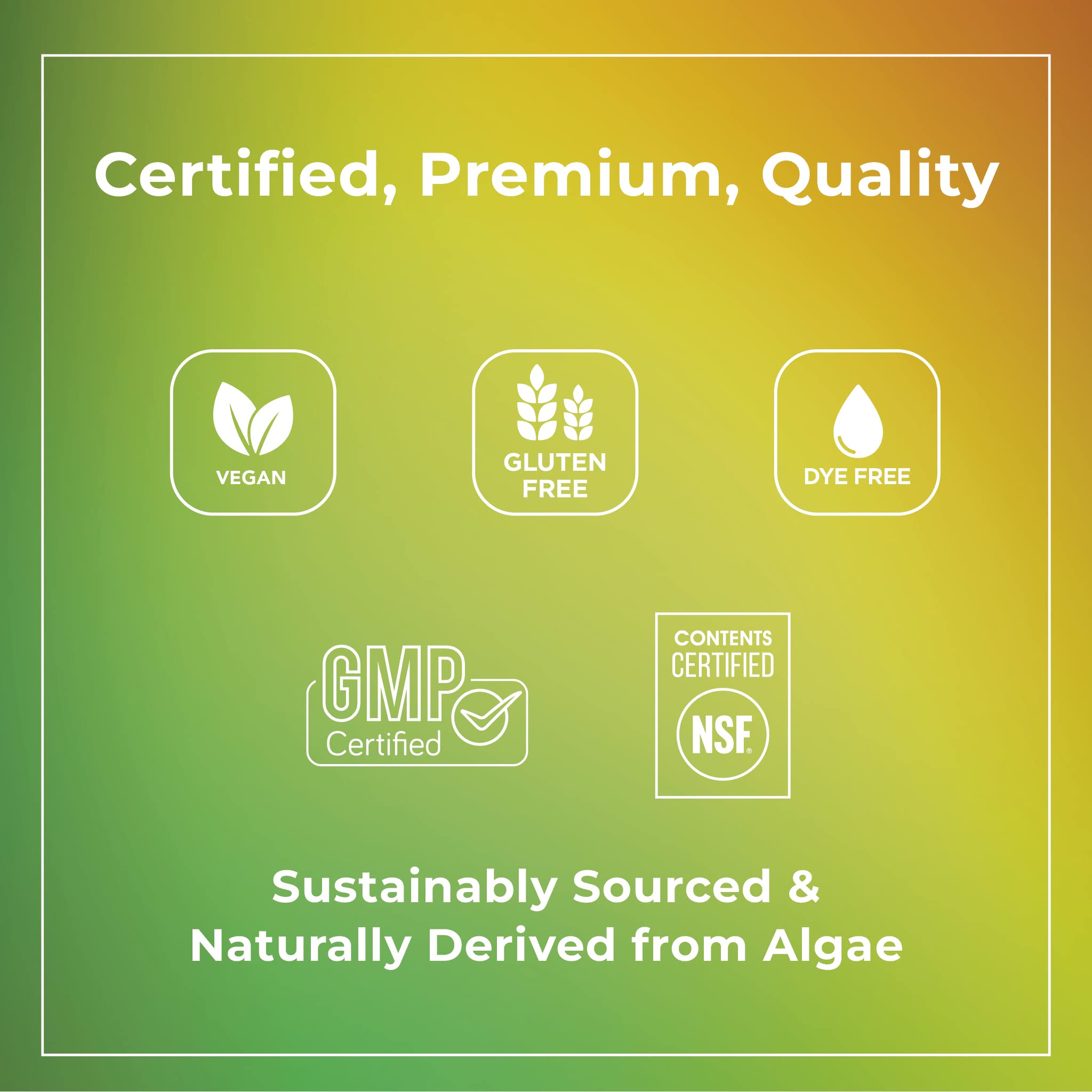 Theralogix PhytoLife Omega - 90-Day Supply - Vegan Algae Omega-3 Supplement Theralogix uk supplements