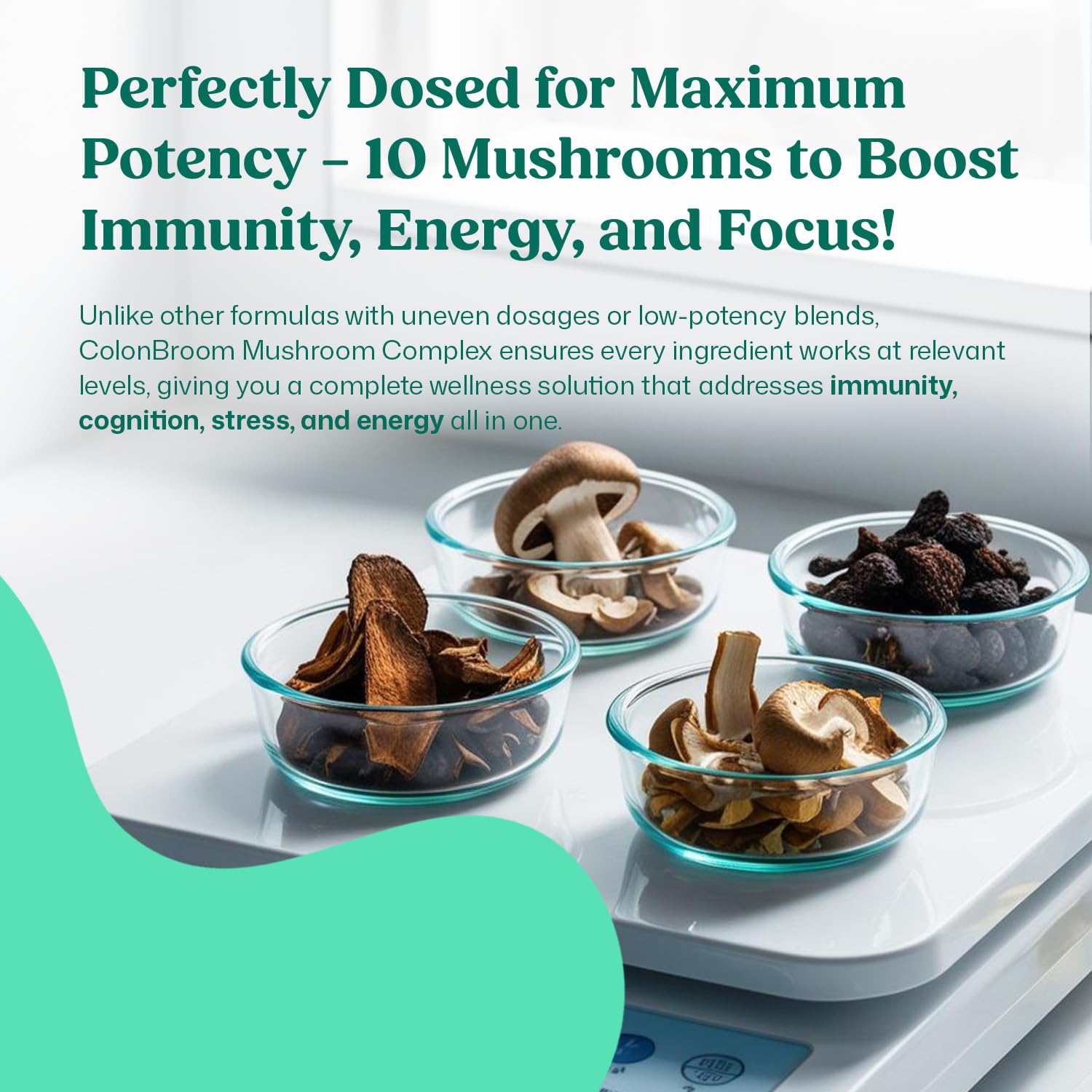 ColonBroom Mushroom Complex, Powerful Mushroom Blend with Cordyceps, Reishi, Shiitake, Lion’s Mane Extract for Energy, Immunity, Stress Relief & Cognitive Health - 60 Capsules, 30 Day Supply ColonBroom uk supplements