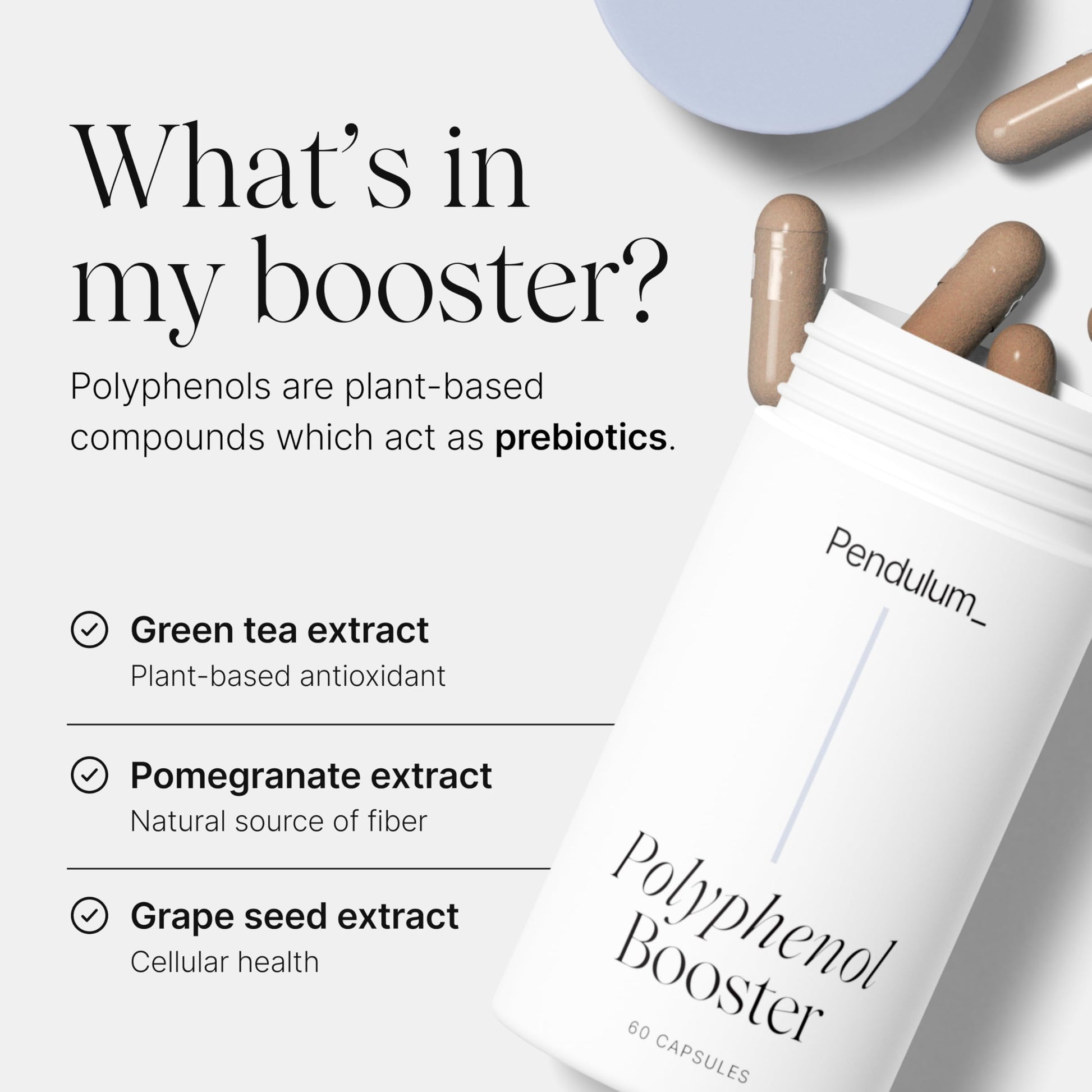 Pendulum Polyphenol Booster, Antioxidant from Superfoods, Beneficial Plant Compounds for Good Health, Helps Boost Akkermansia Muciniphila for Men & Women (60 Capsules, 1-Pack) Pendulum uk supplements