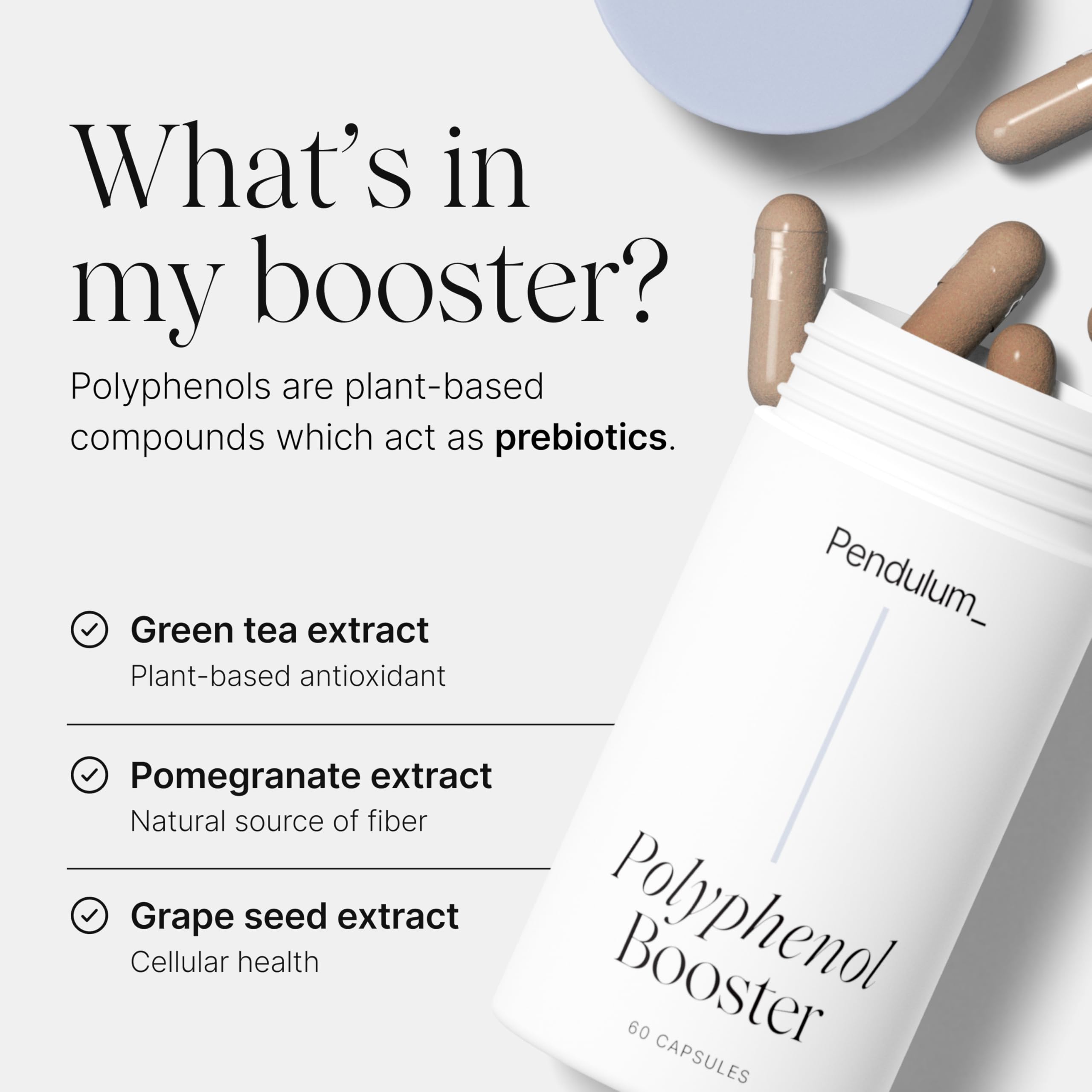 Pendulum Polyphenol Booster, Antioxidant from Superfoods, Beneficial Plant Compounds for Good Health, Helps Boost Akkermansia Muciniphila for Men & Women (60 Capsules, 1-Pack) Pendulum uk supplements