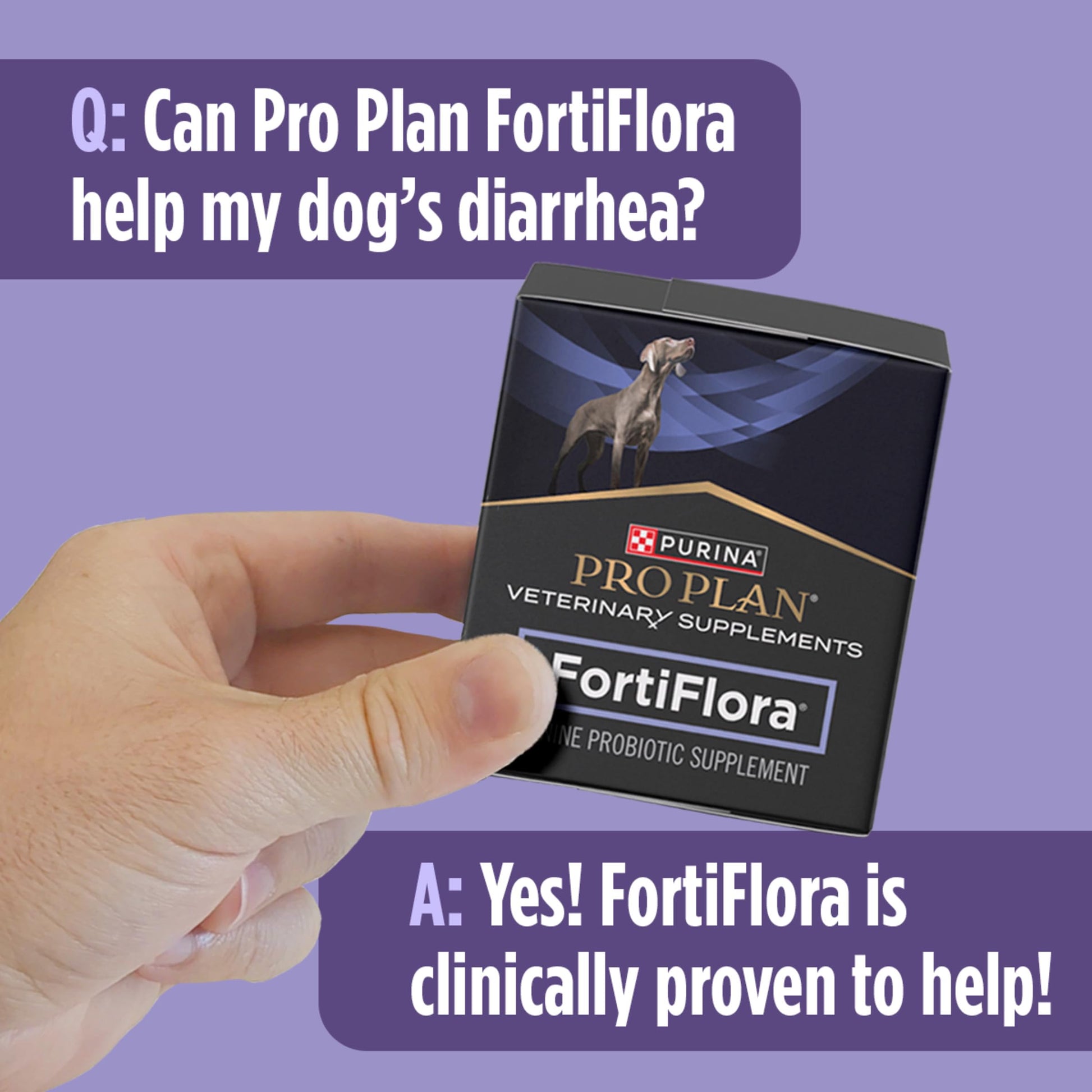 Purina Pro Plan Veterinary Supplements FortiFlora Daily Probiotics for Dogs, Helps Digestive Gut Health and Diarrhea - 30 ct. Box Pro Plan Veterinary Diets uk supplements