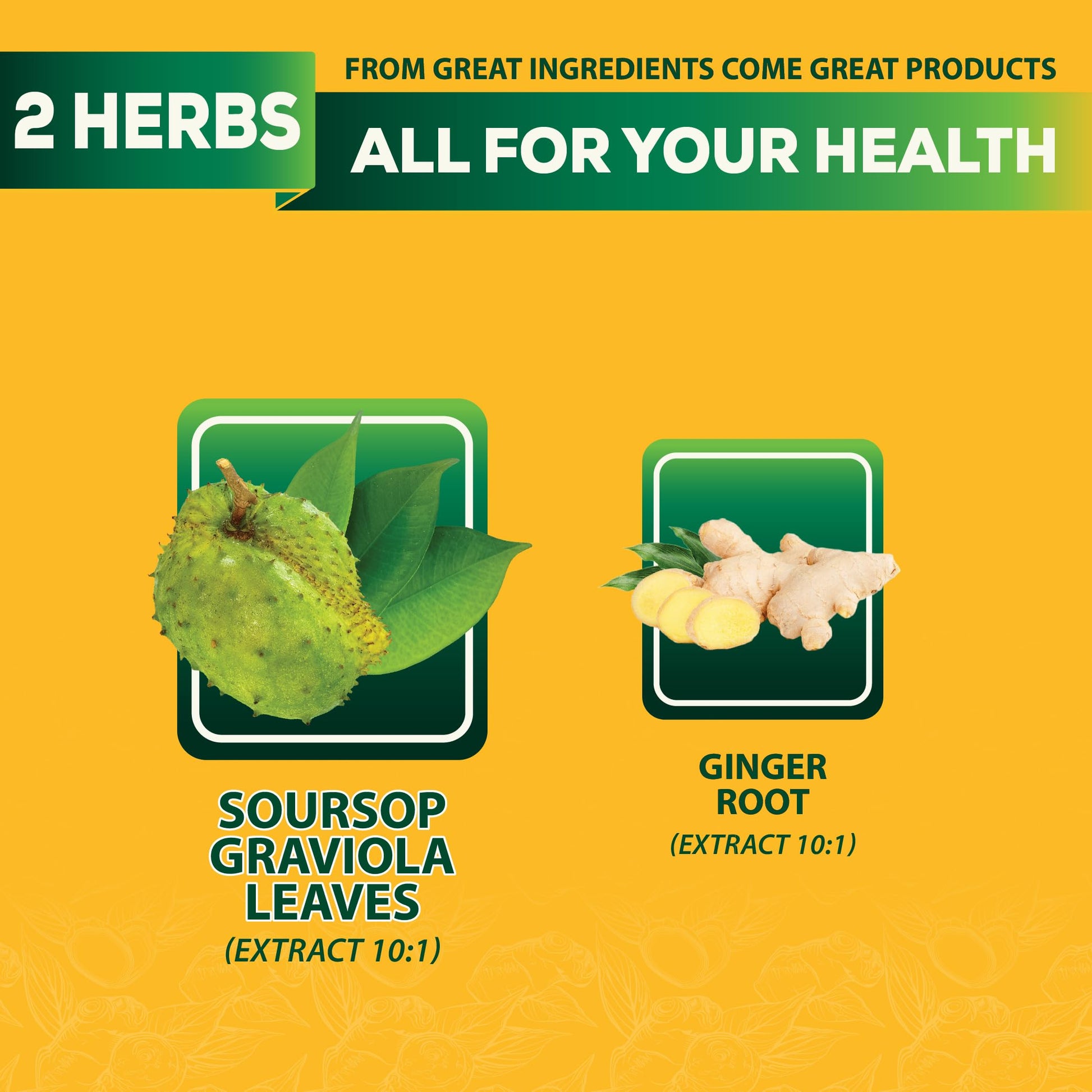 DEDICAD Soursop Leaves Tea Bags with Ginger, 30 Tea bags, 2gr/bag - Non-GMO/Caffeine free - Support Digestion, Well Skin, Immune System DEDICAD uk supplements