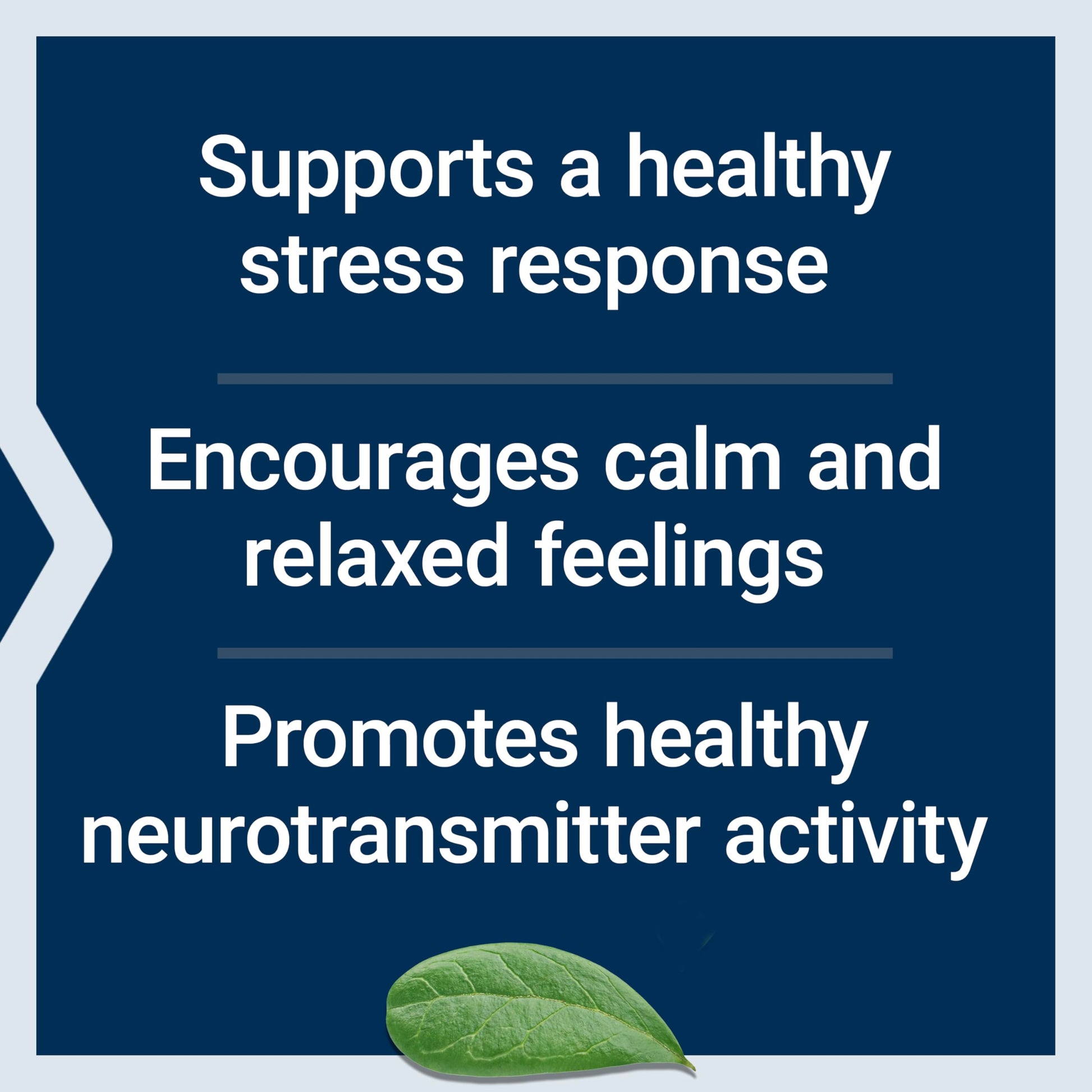 Life Extension Calm-Mag, Magnesium Acetyl taurinate, Daily Stress Management Formula, Supports Calmness and Relaxation, Gluten-Free, Non-GMO, Vegetarian, 30 Capsules Life Extension uk supplements